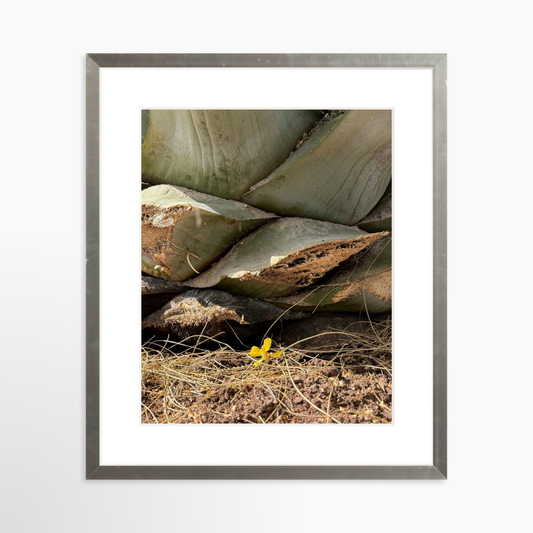 8" x 10" / Silver / Mat