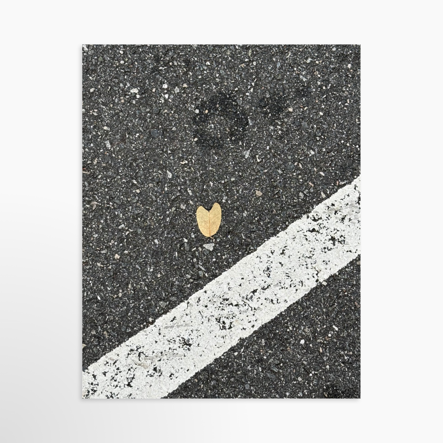 11" x 14" / Unframed / No Mat