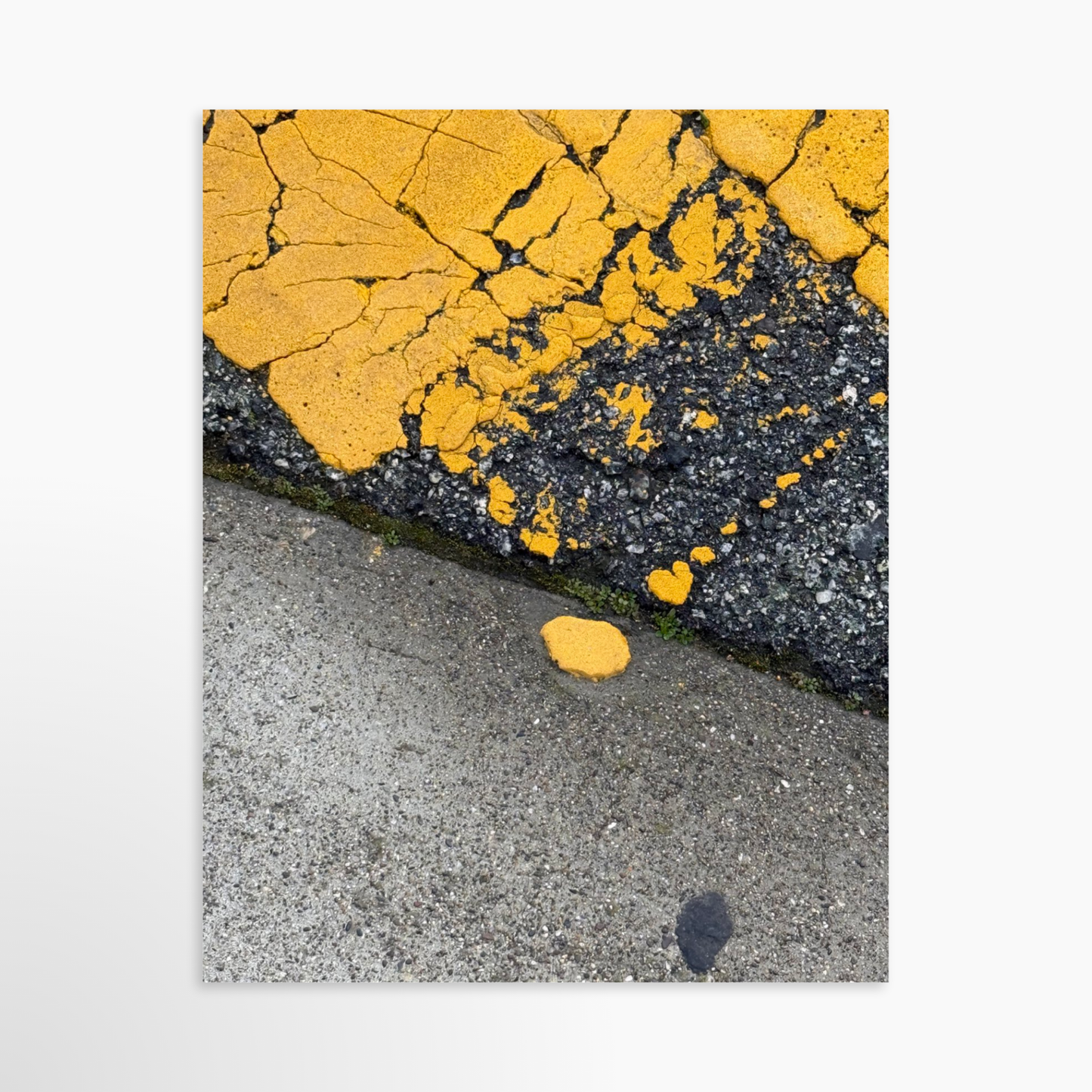 11" x 14" / Unframed / No Mat