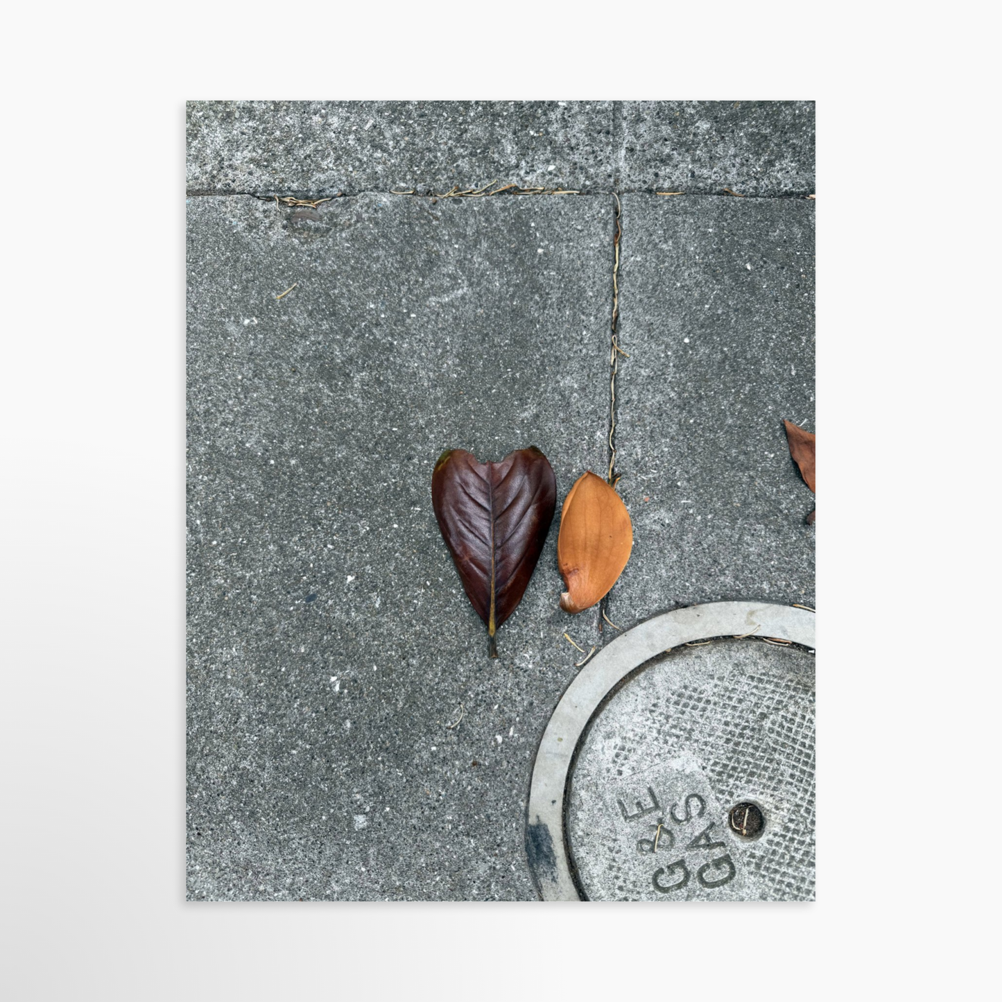 11" x 14" / Unframed / No Mat