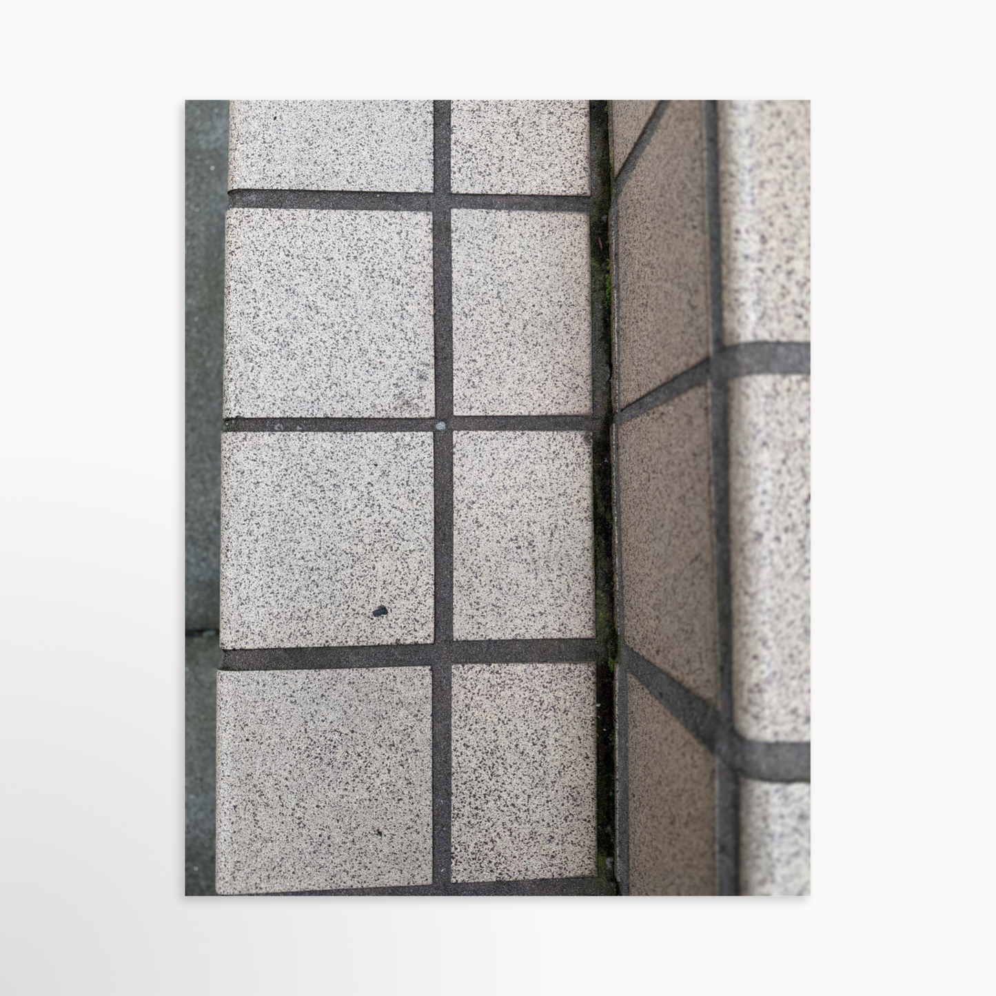 11" x 14" / Unframed / No Mat