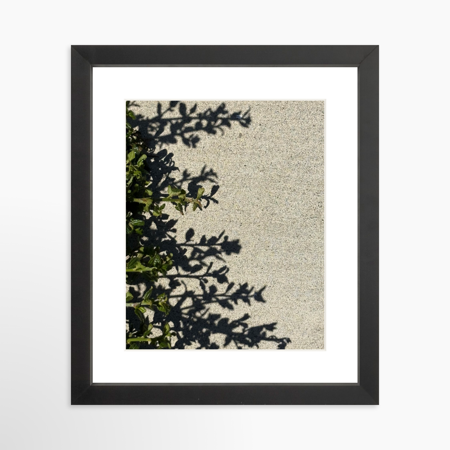 8" x  10" / Black / Mat