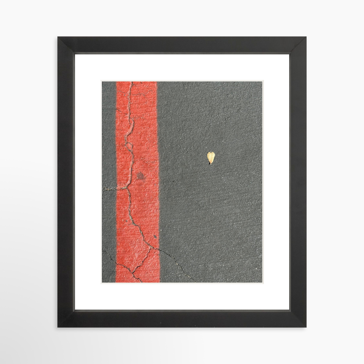 8" x  10" / Black / Mat
