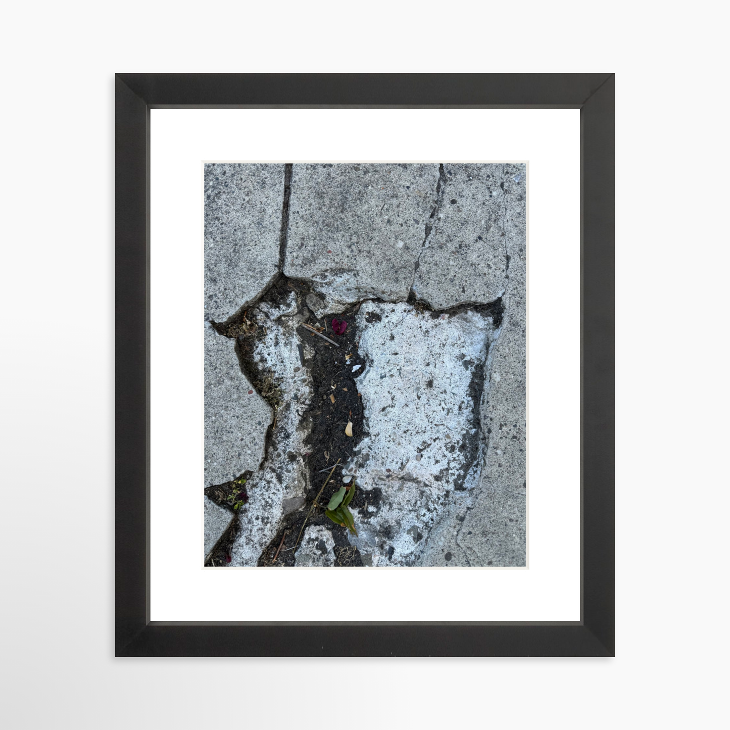 8" x  10" / Black / Mat