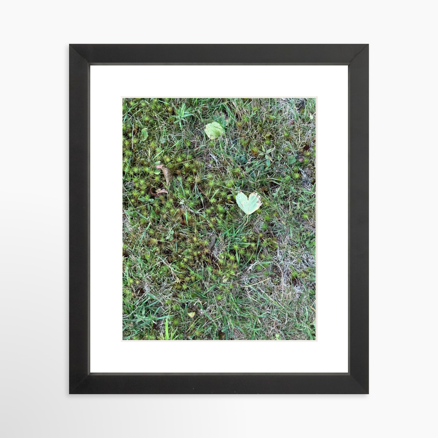 8" x  10" / Black / Mat