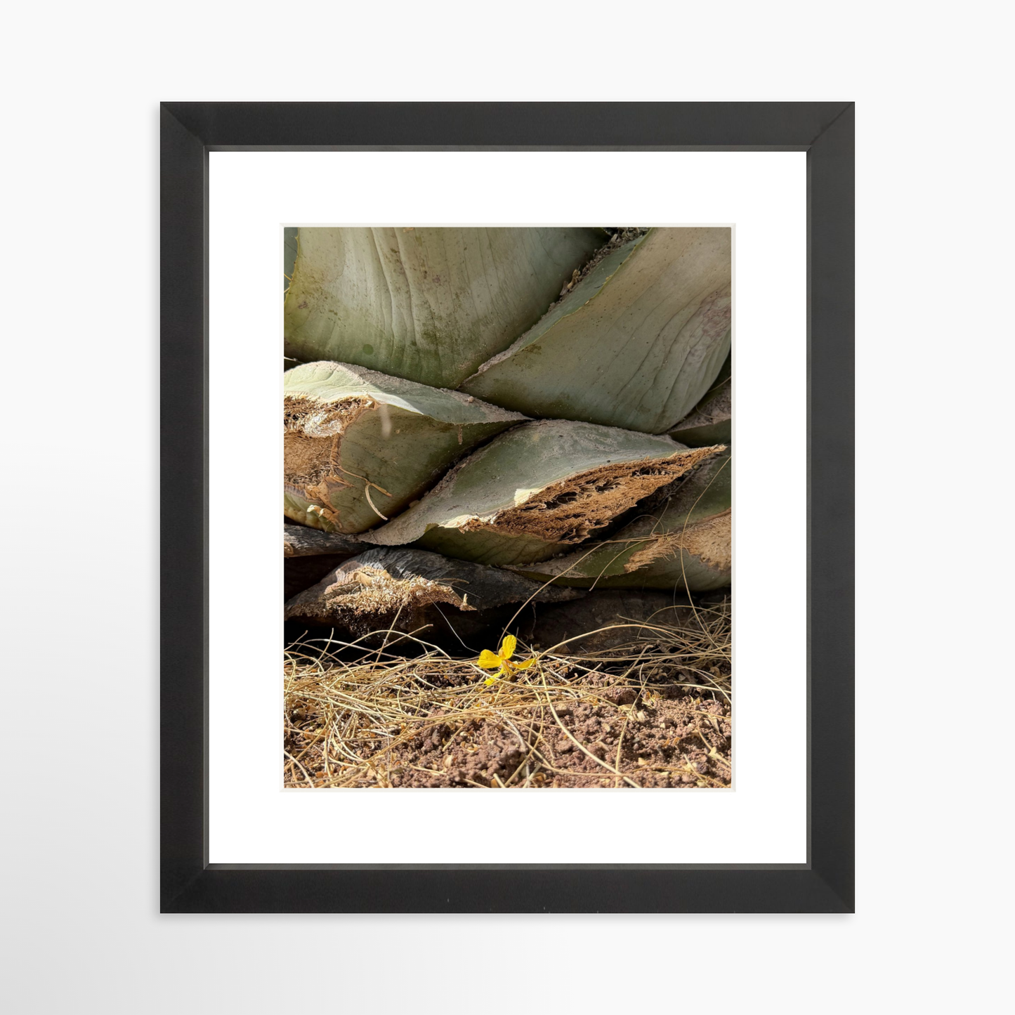 8" x  10" / Black / Mat