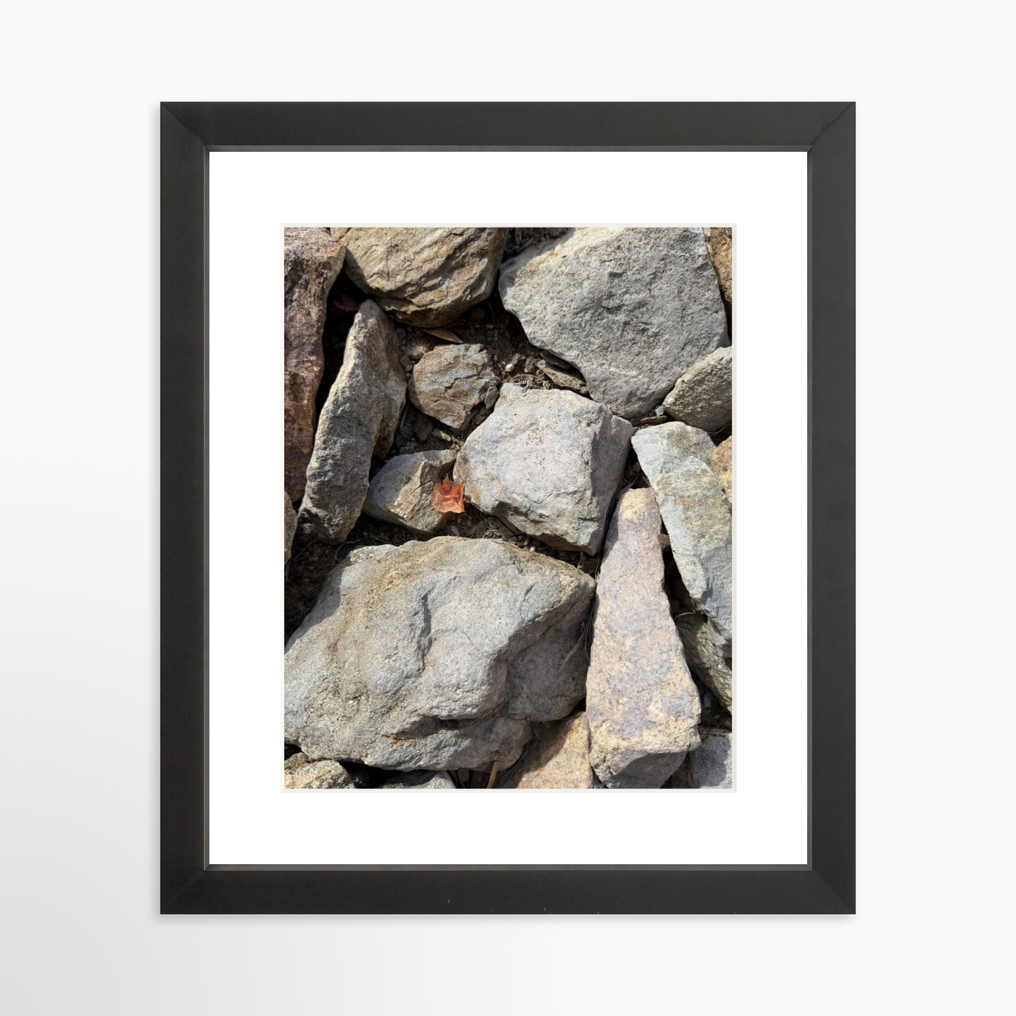 8" x  10" / Black / Mat