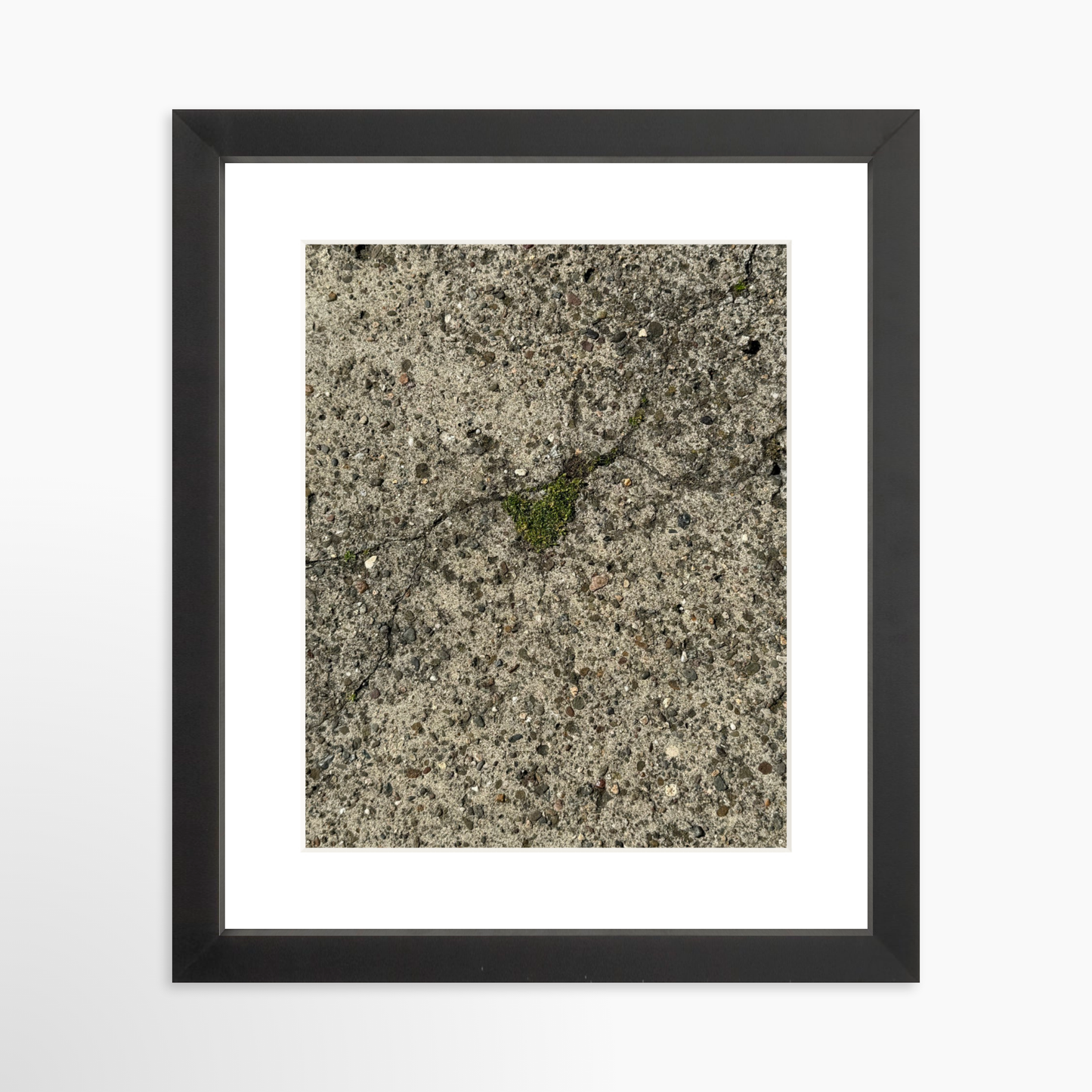 8" x  10" / Black / Mat