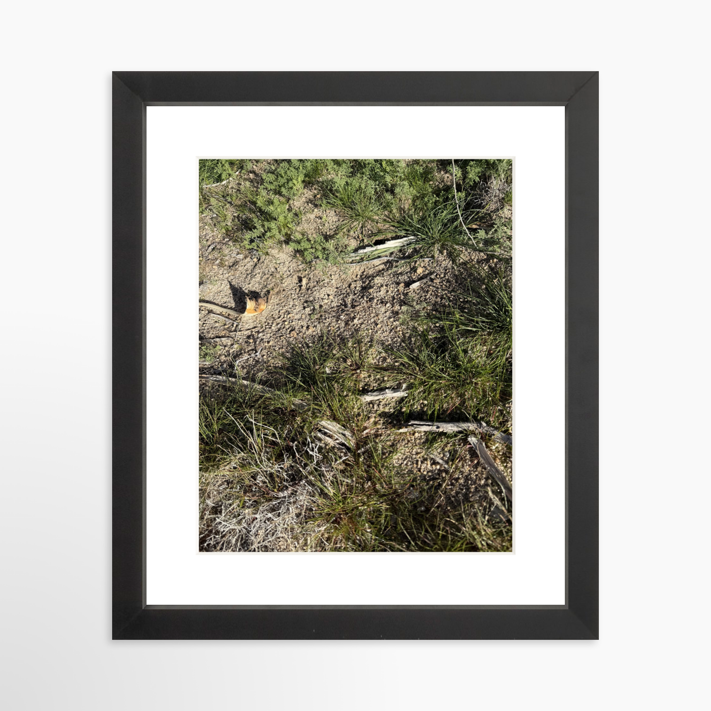 8" x  10" / Black / Mat