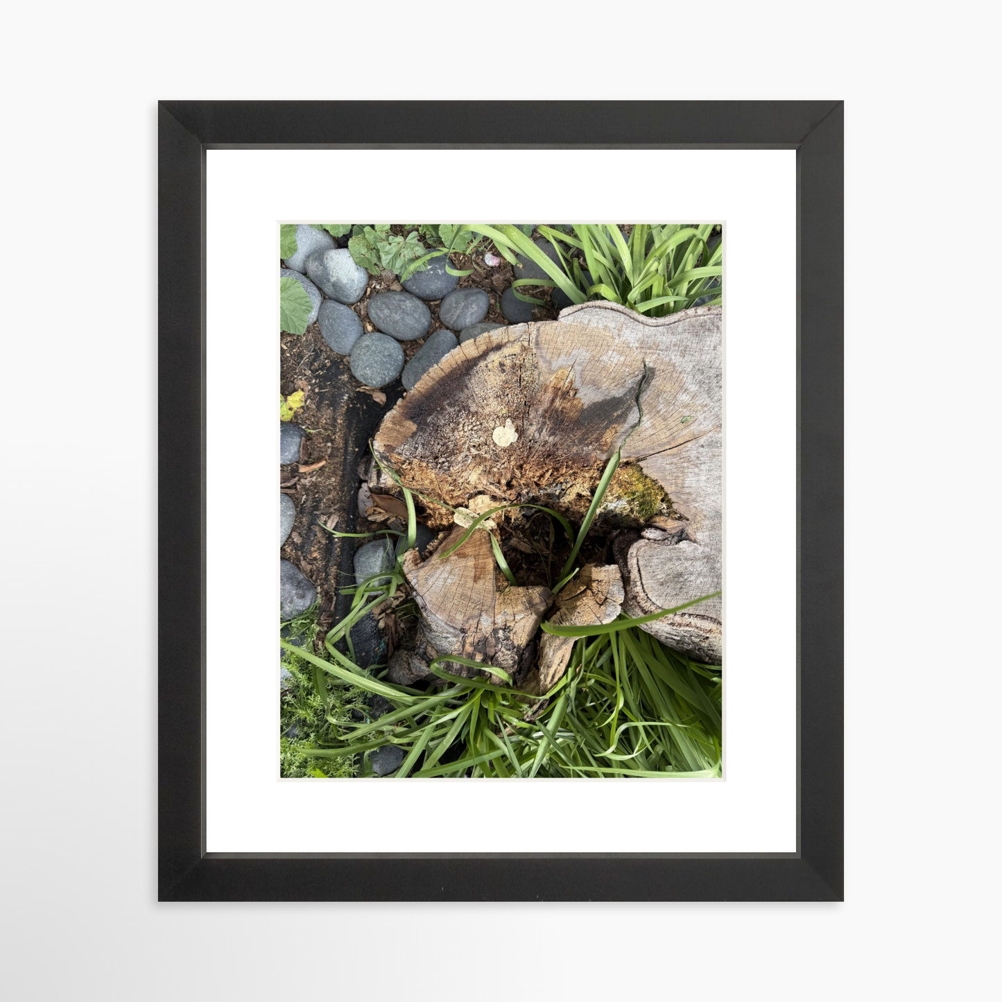 8" x  10" / Black / Mat