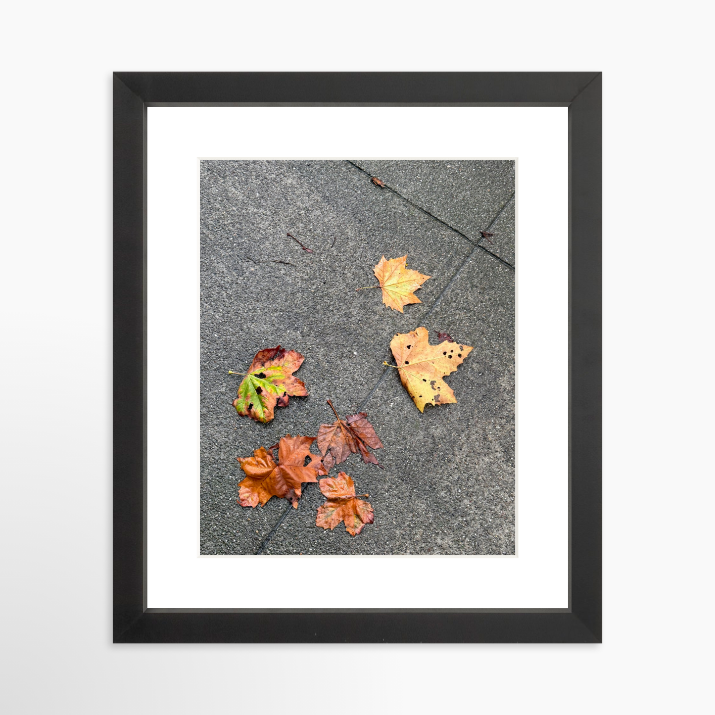 8" x  10" / Black / Mat