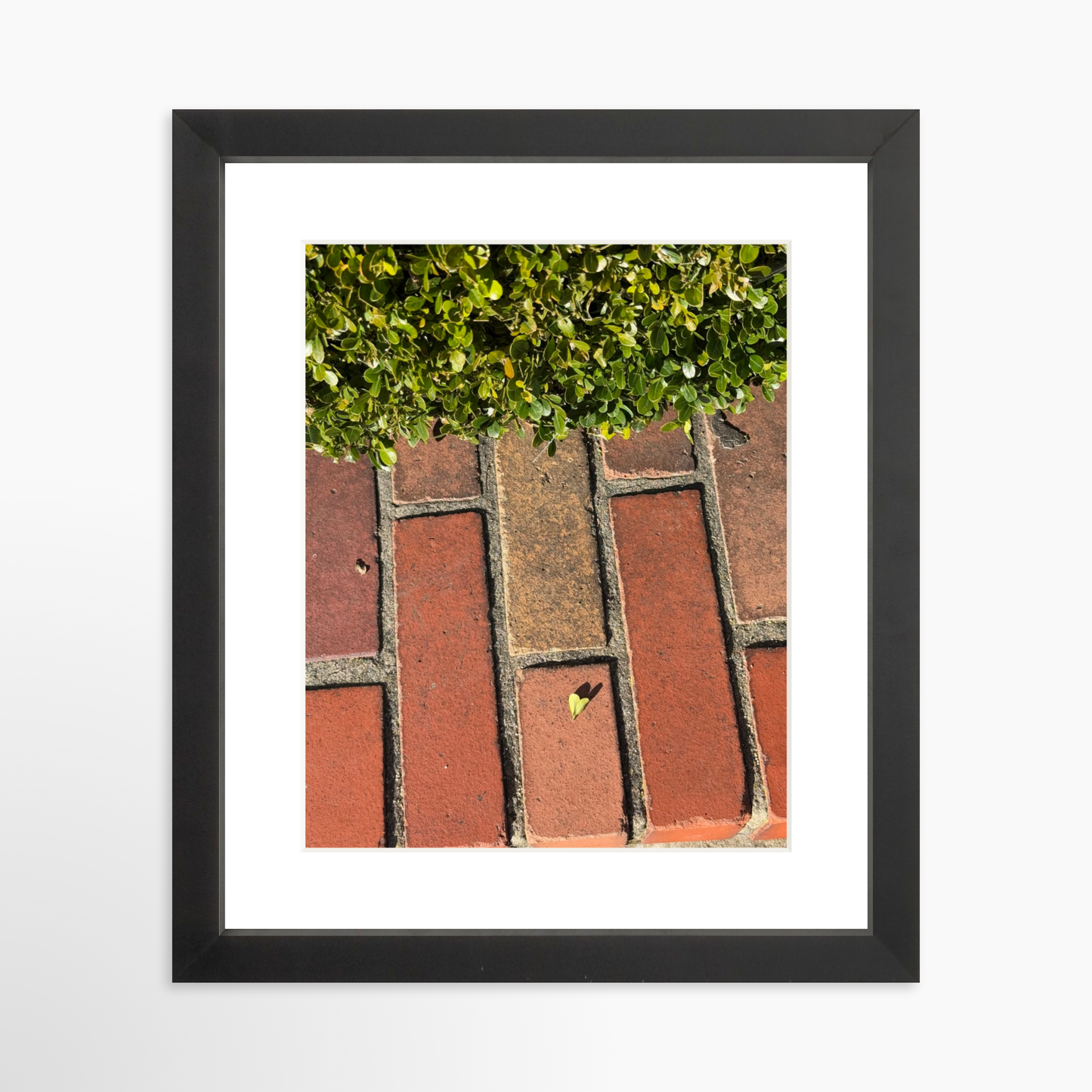 8" x  10" / Black / Mat