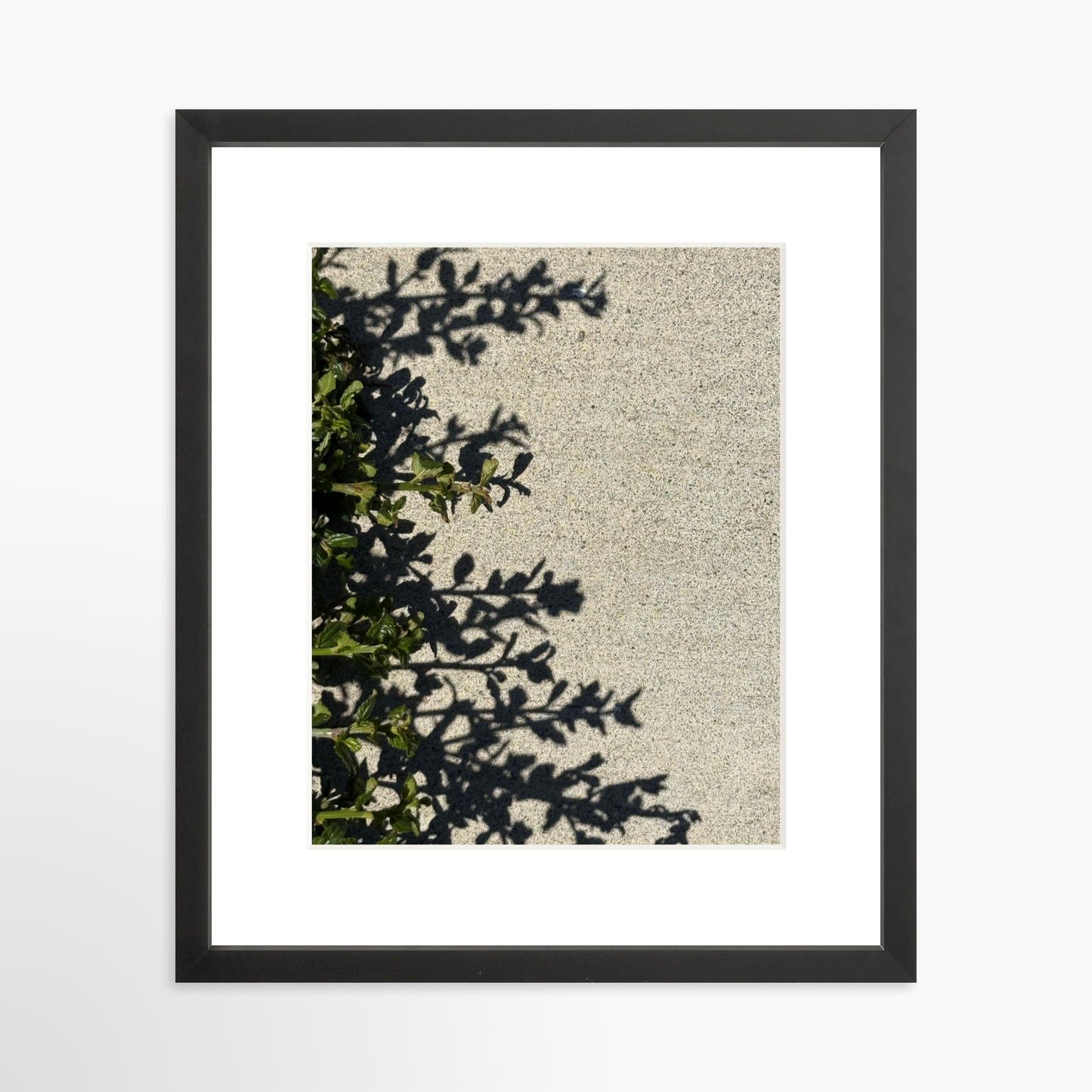 11" x 14" / Black / Mat