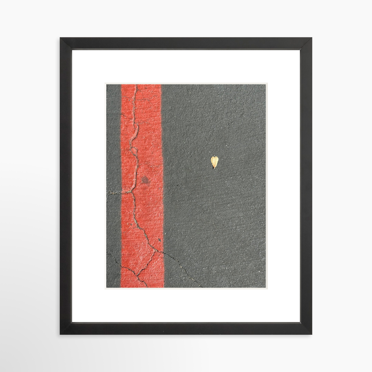 11" x 14" / Black / Mat