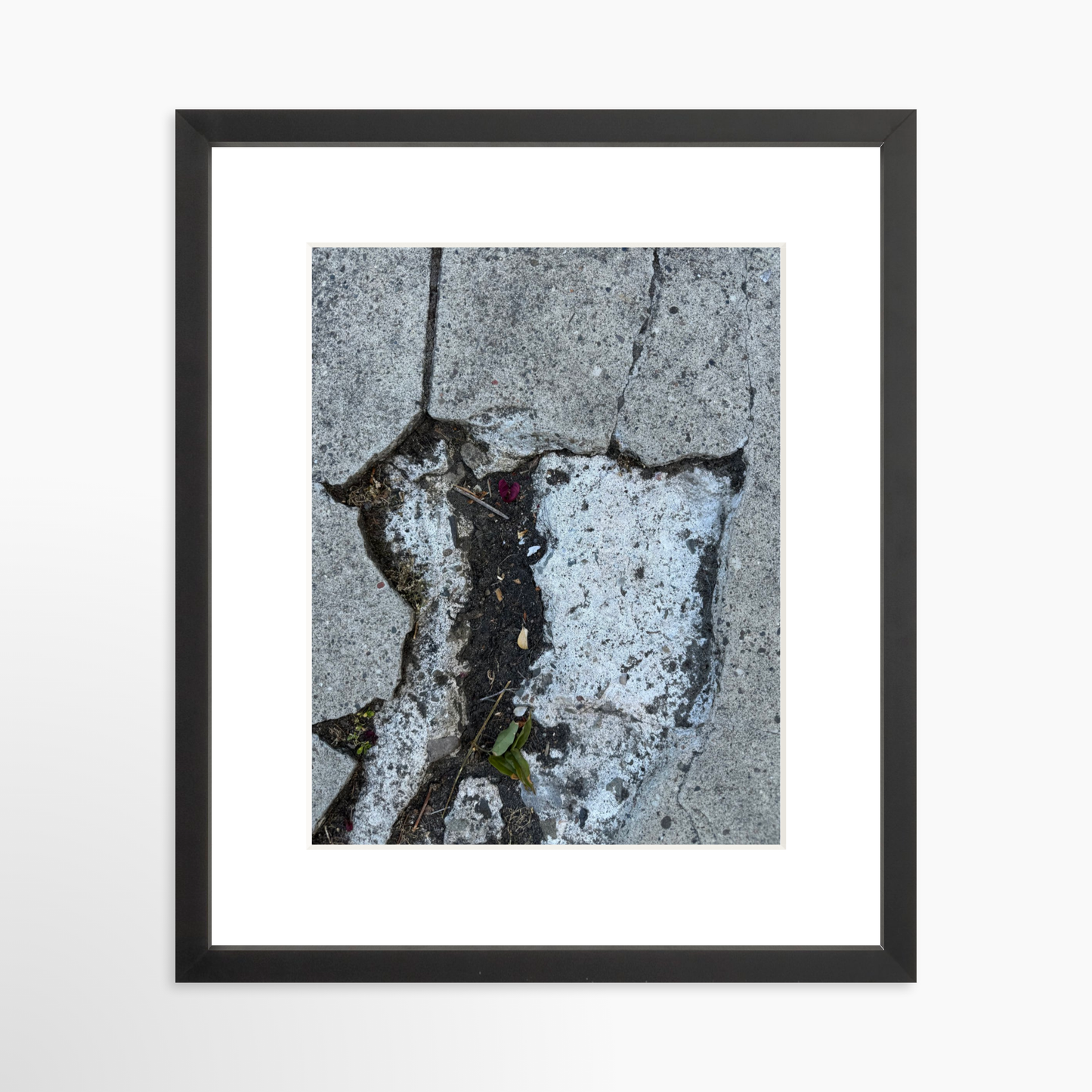 11" x 14" / Black / Mat