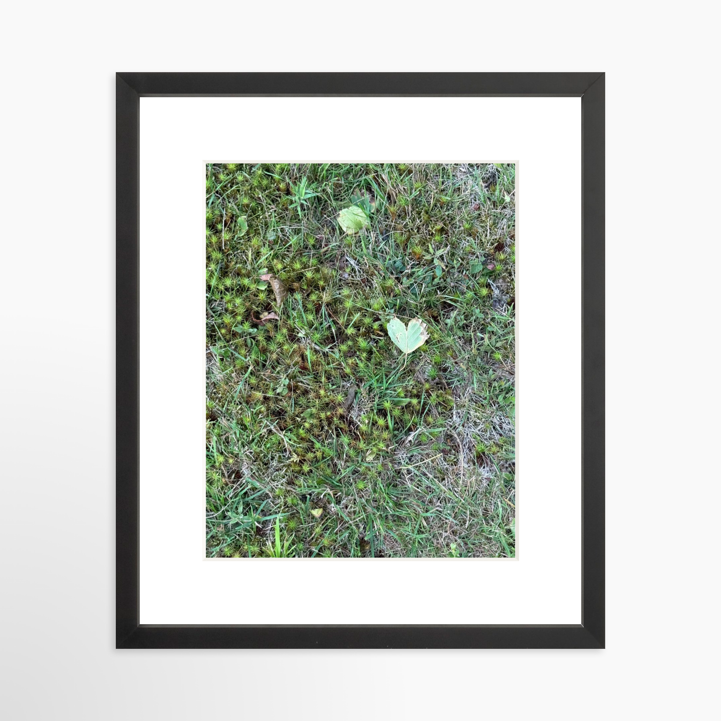 11" x 14" / Black / Mat