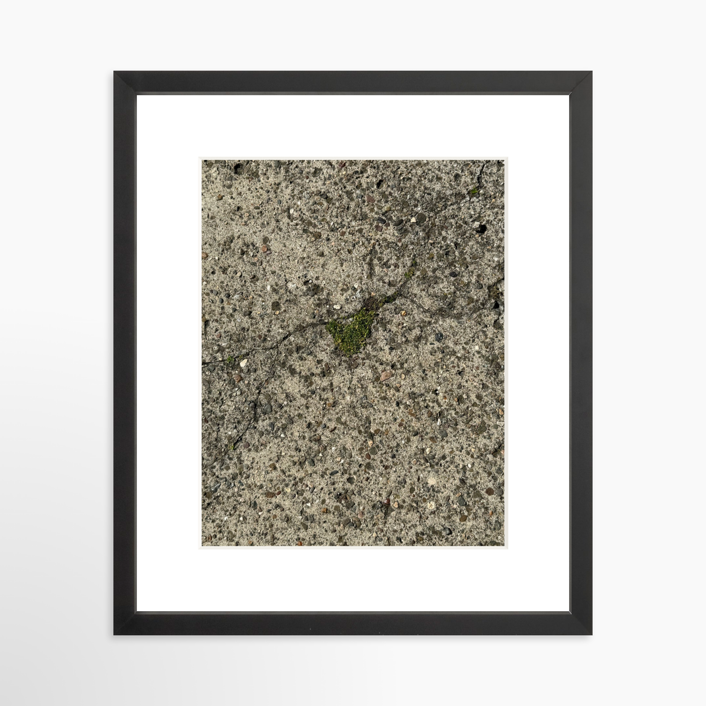 11" x 14" / Black / Mat