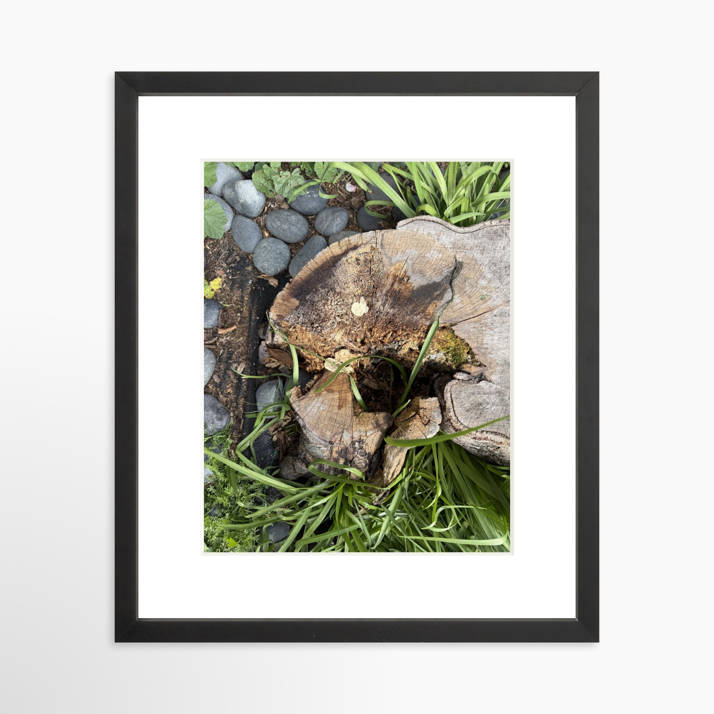 11" x 14" / Black / Mat