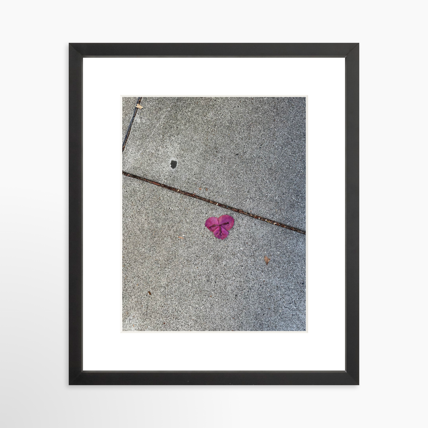 11" x 14" / Black / Mat