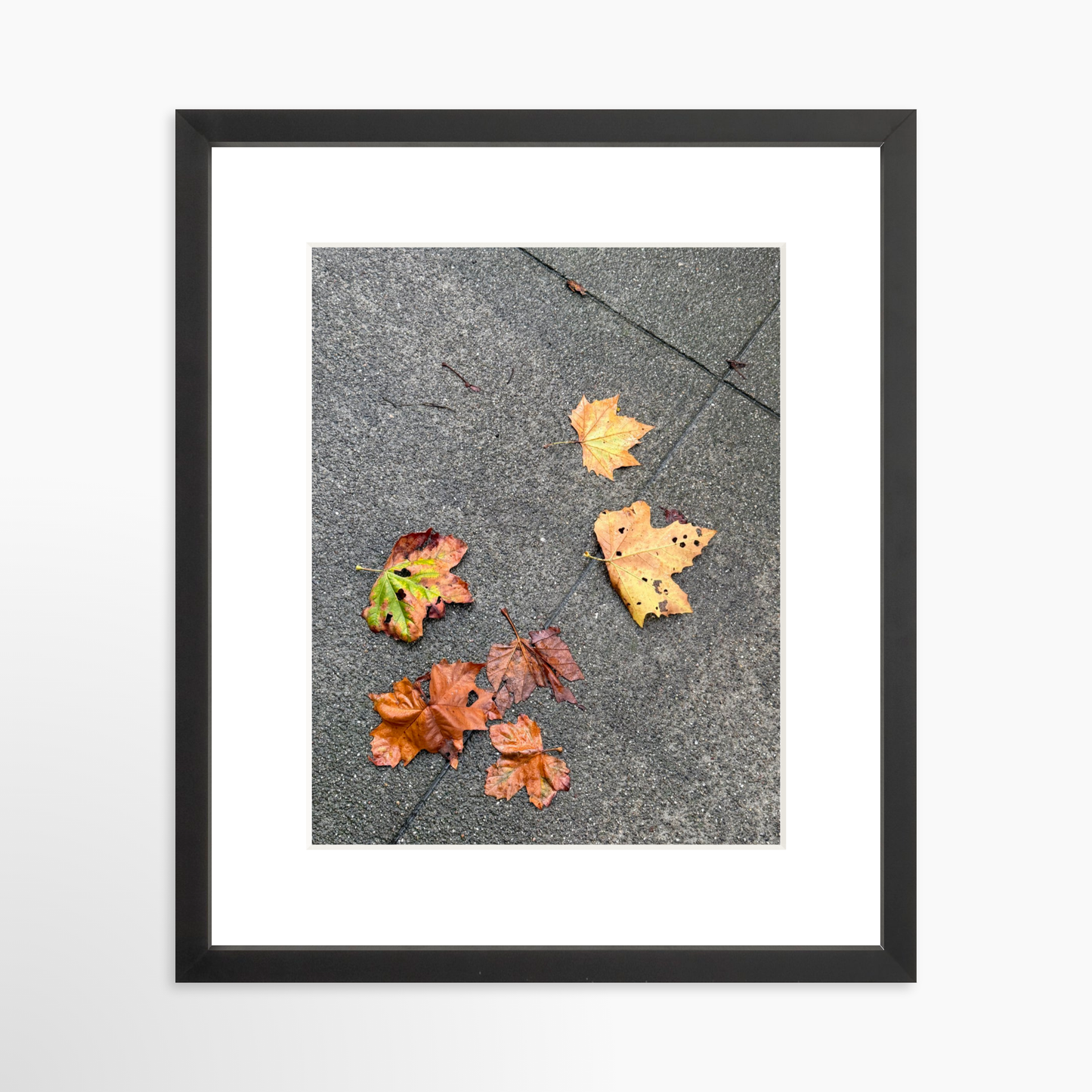 11" x 14" / Black / Mat