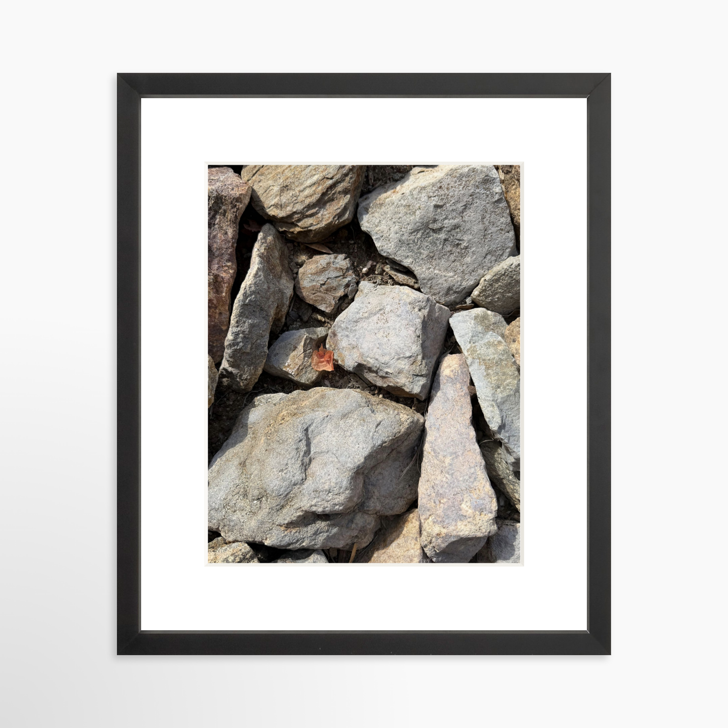 11" x 14" / Black / Mat