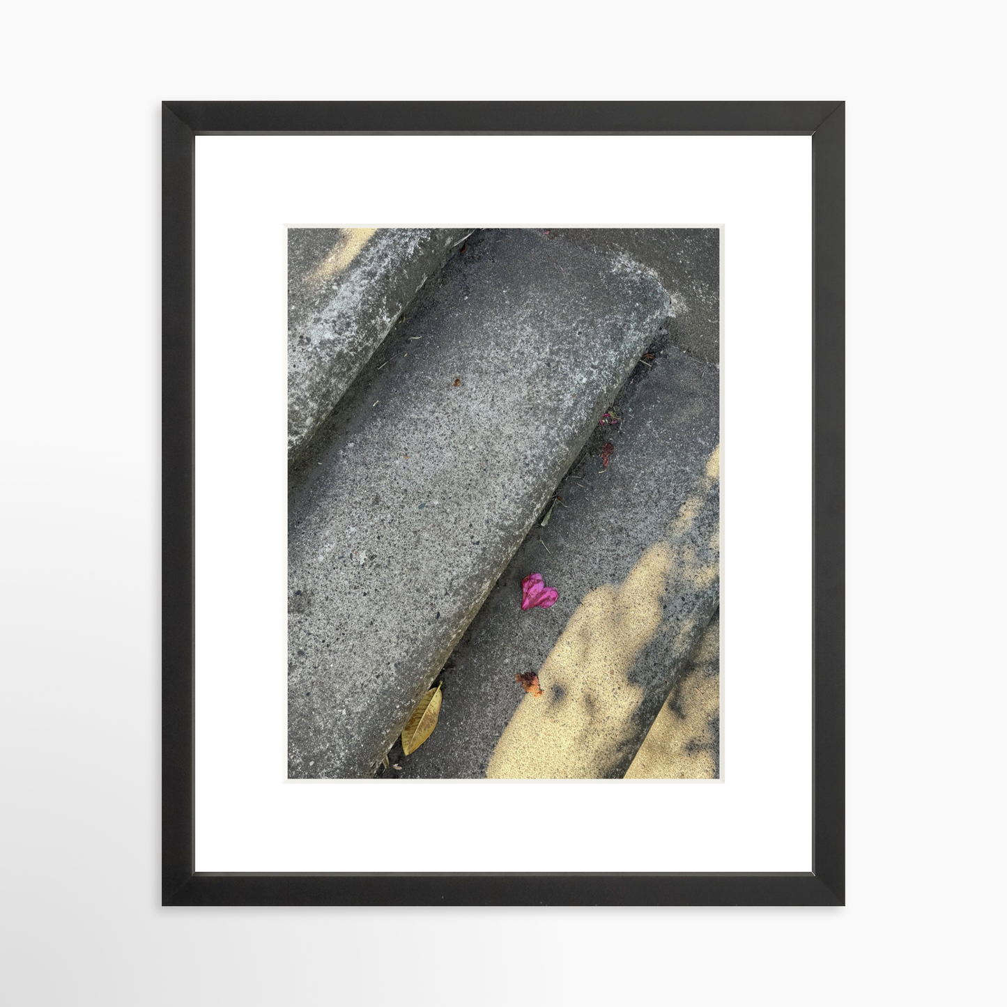 11" x 14" / Black / Mat