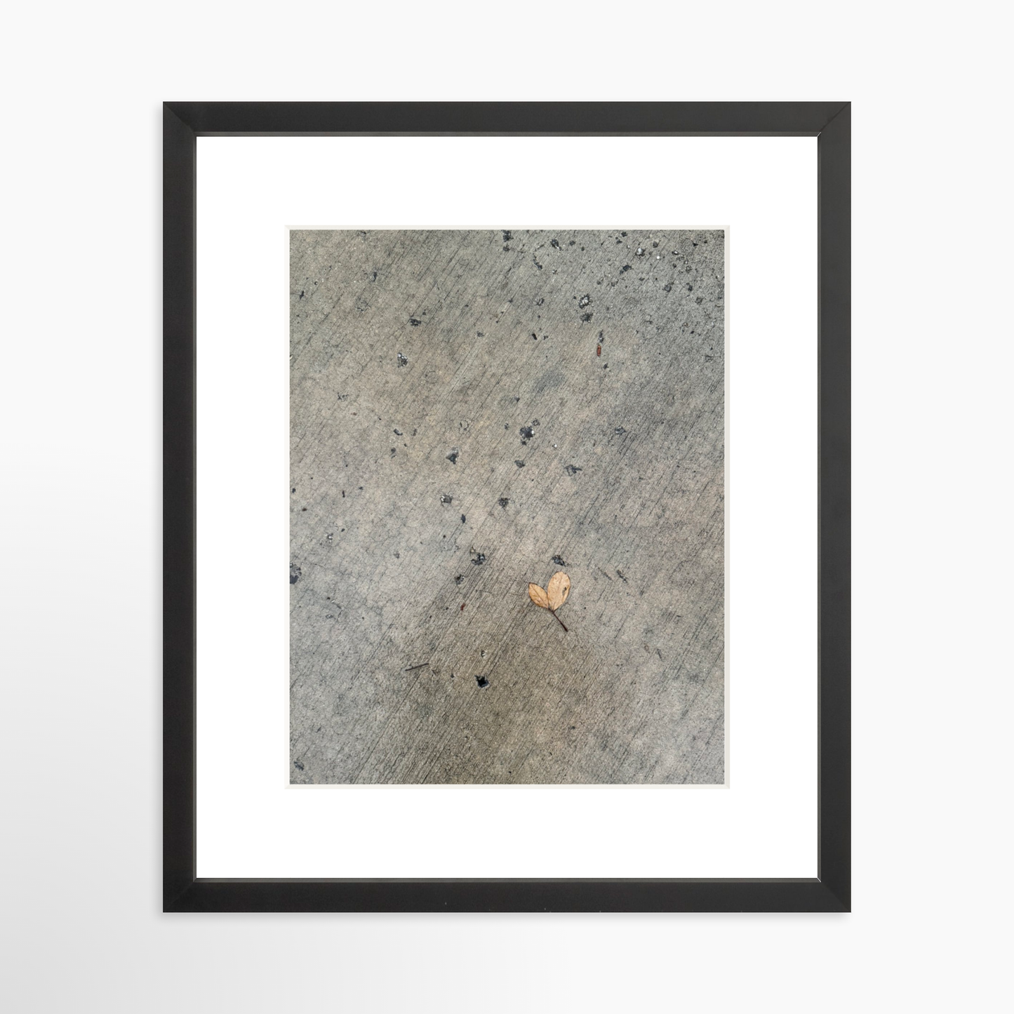 11" x 14" / Black / Mat