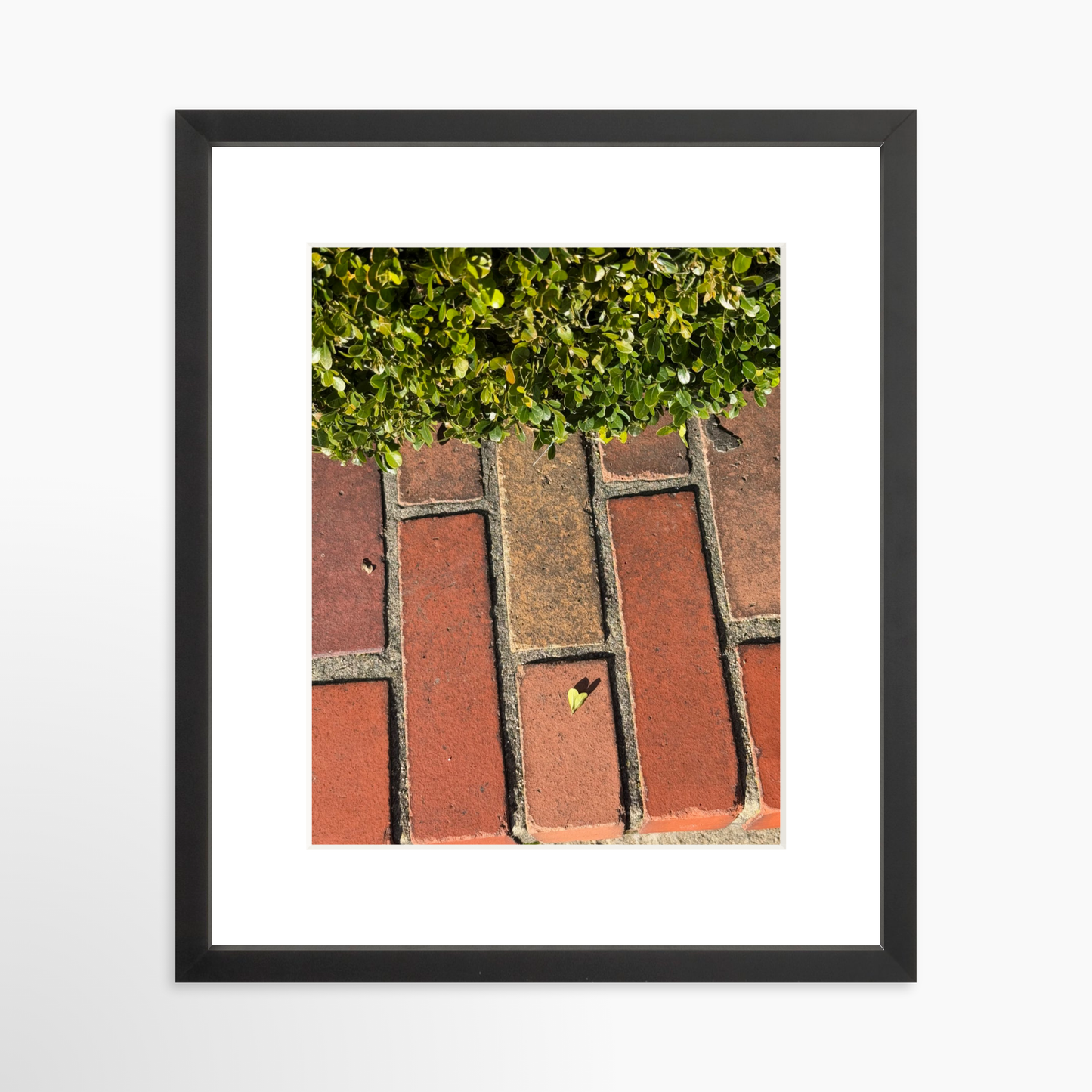 11" x 14" / Black / Mat