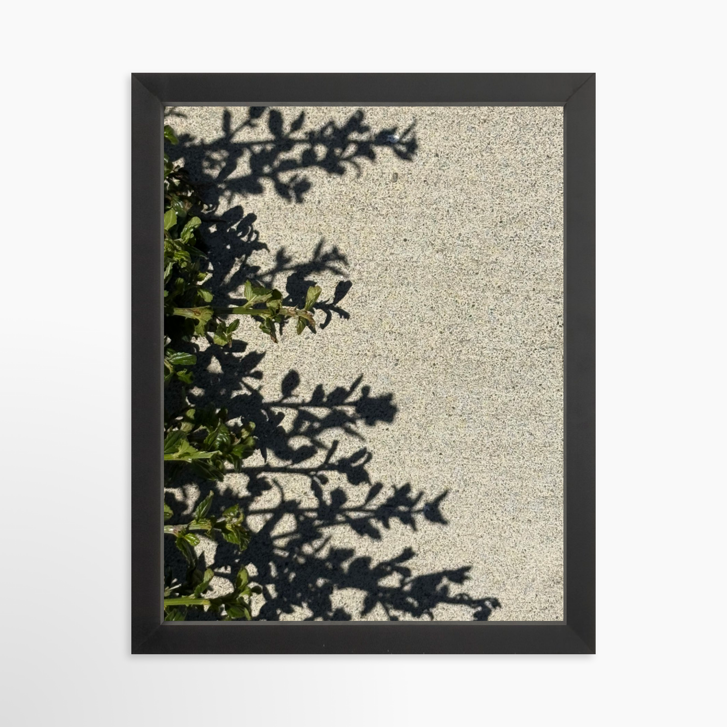 11" x 14" / Black / No Mat