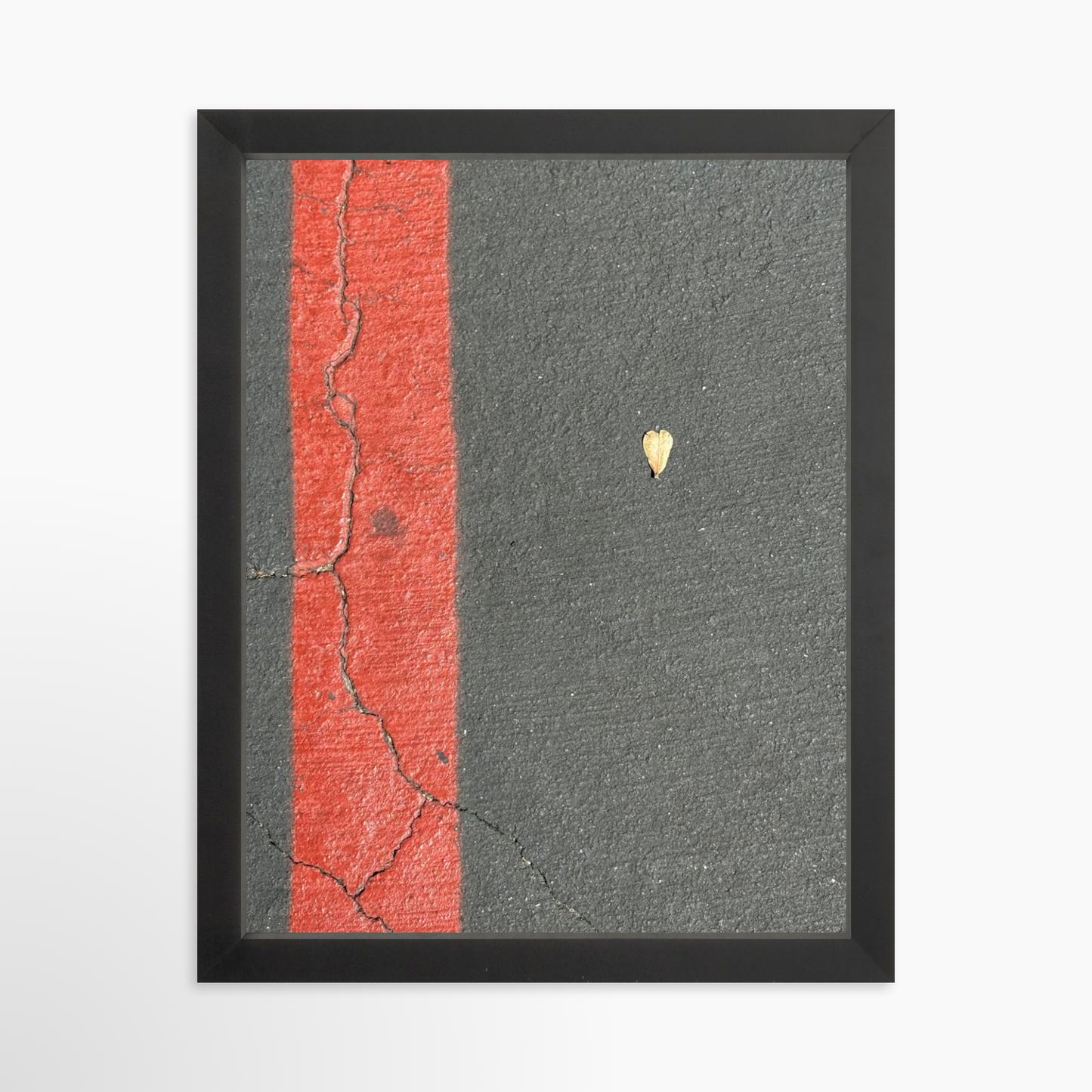 11" x 14" / Black / No Mat