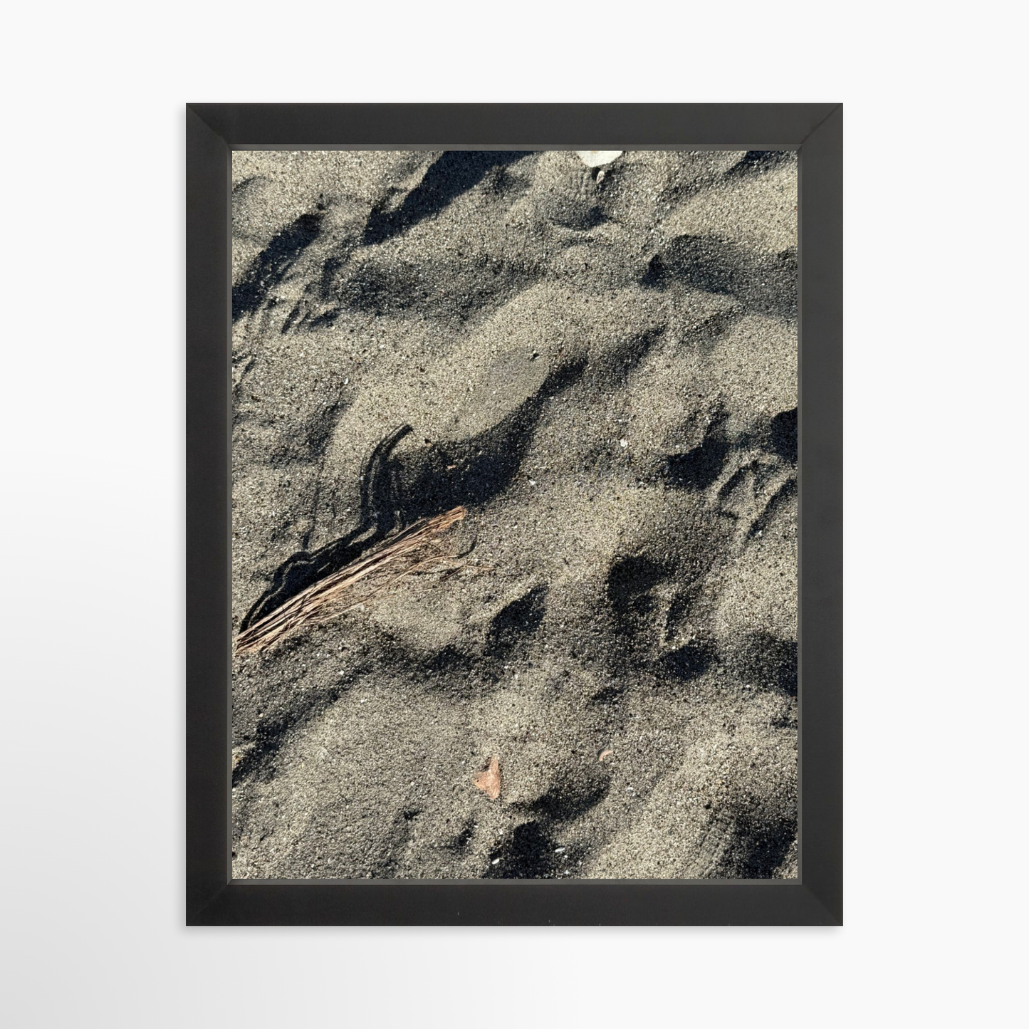 11" x 14" / Black / No Mat