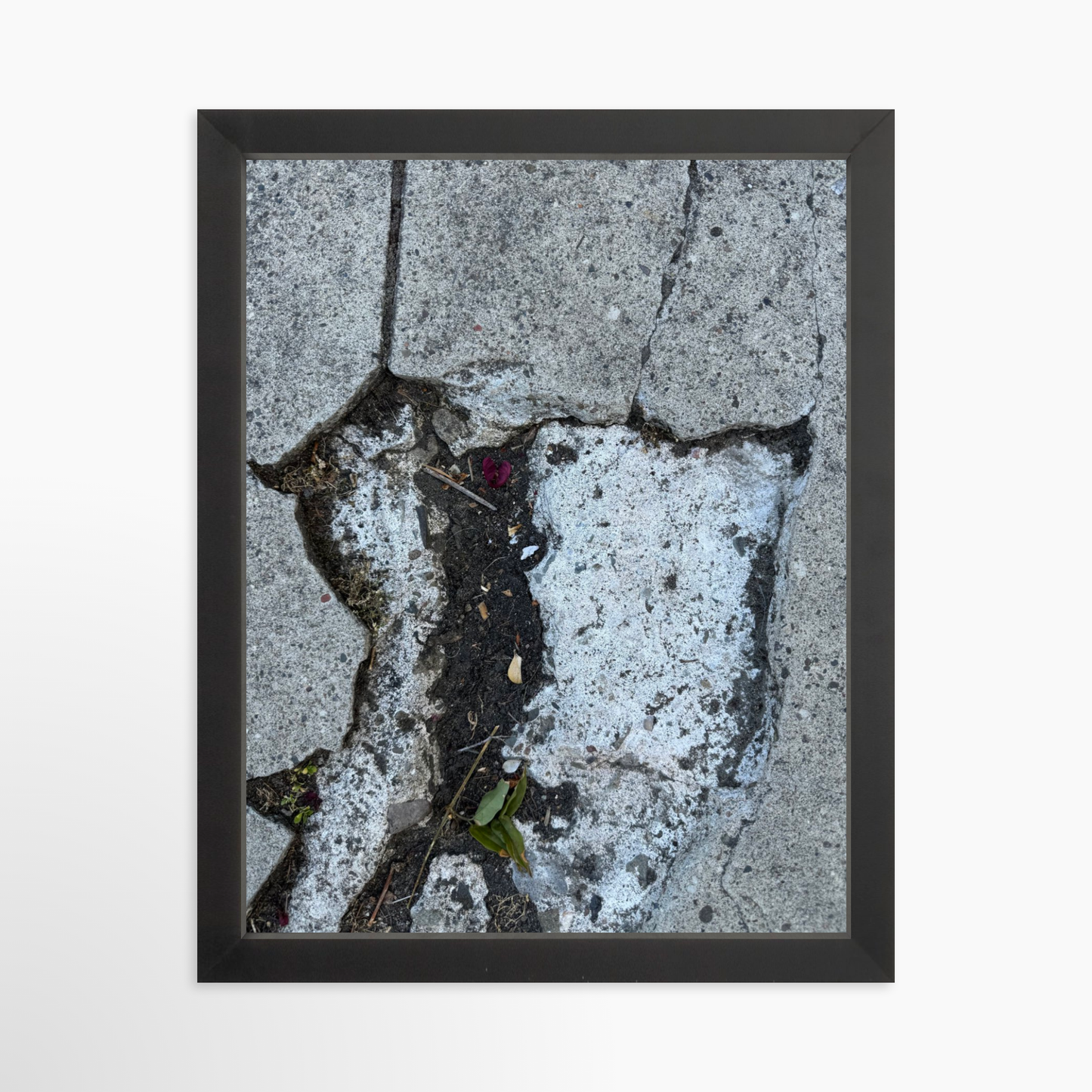 11" x 14" / Black / No Mat