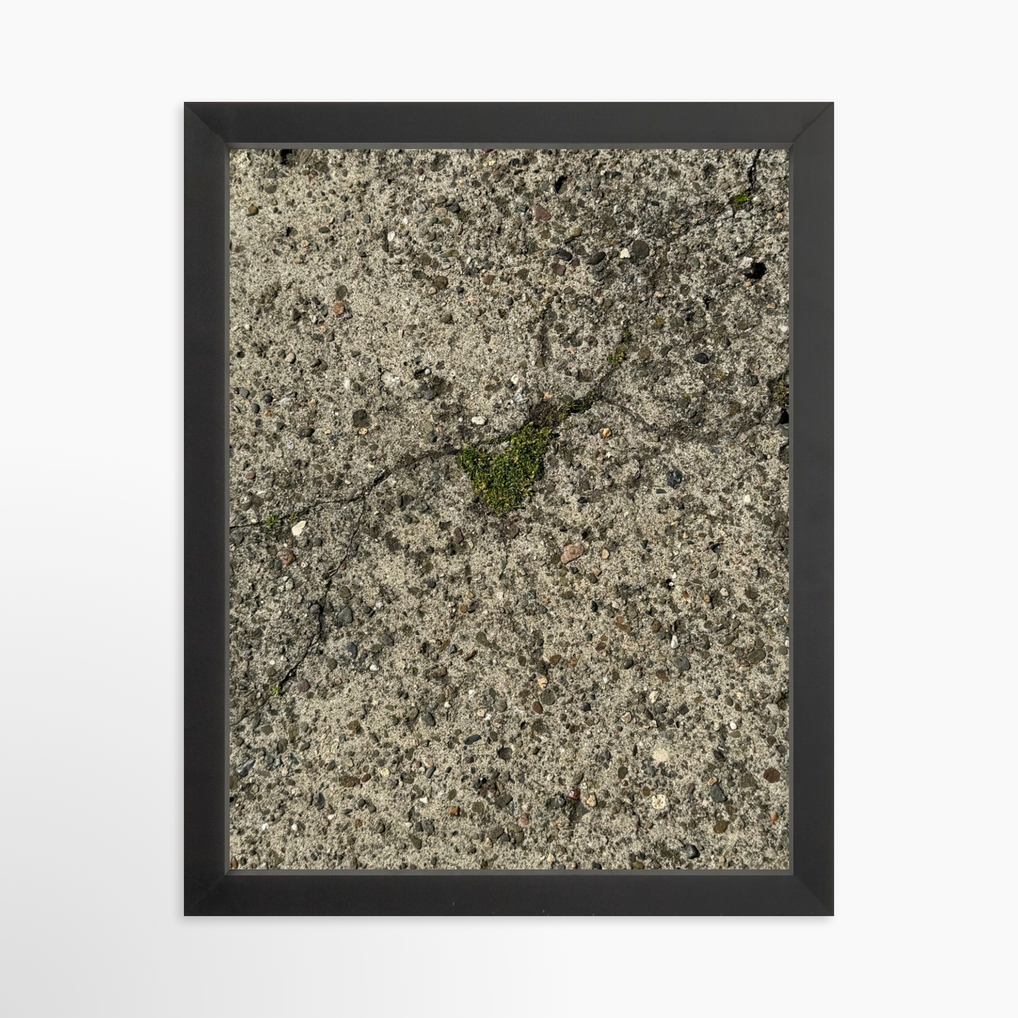 11" x 14" / Black / No Mat