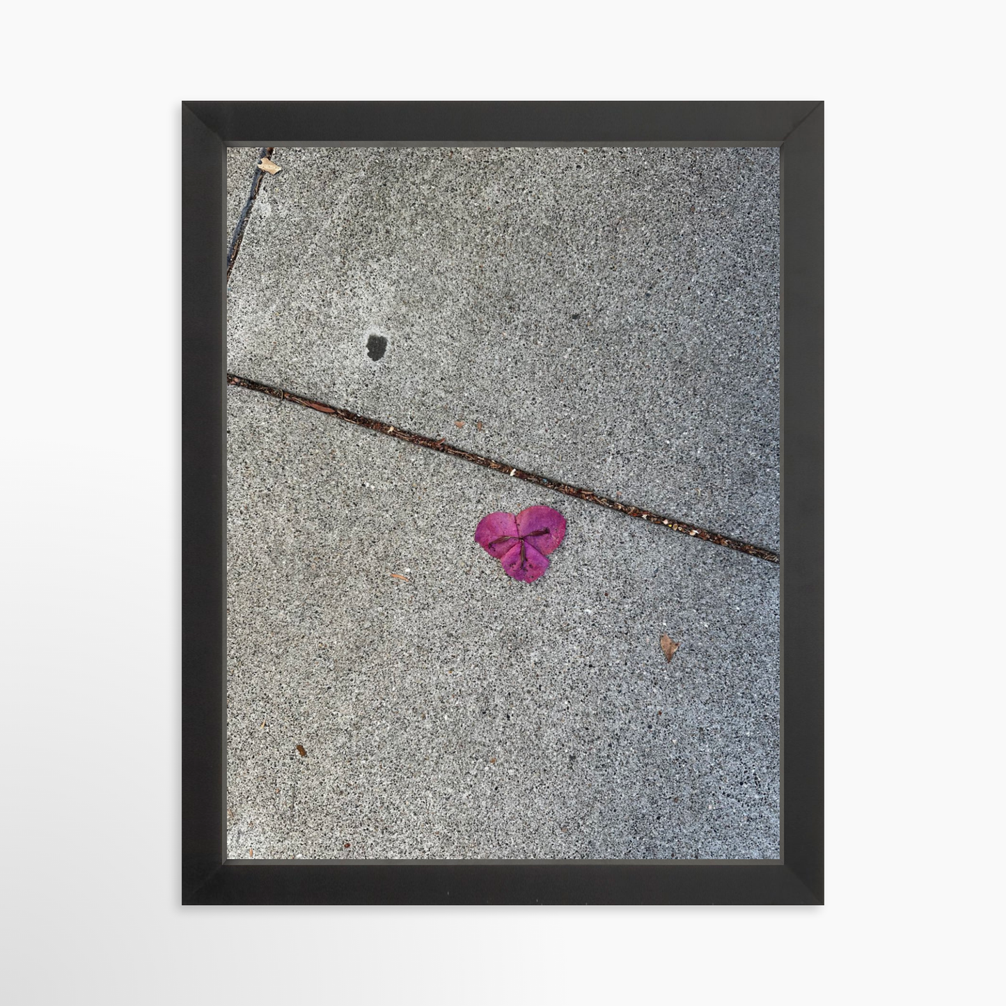 11" x 14" / Black / No Mat