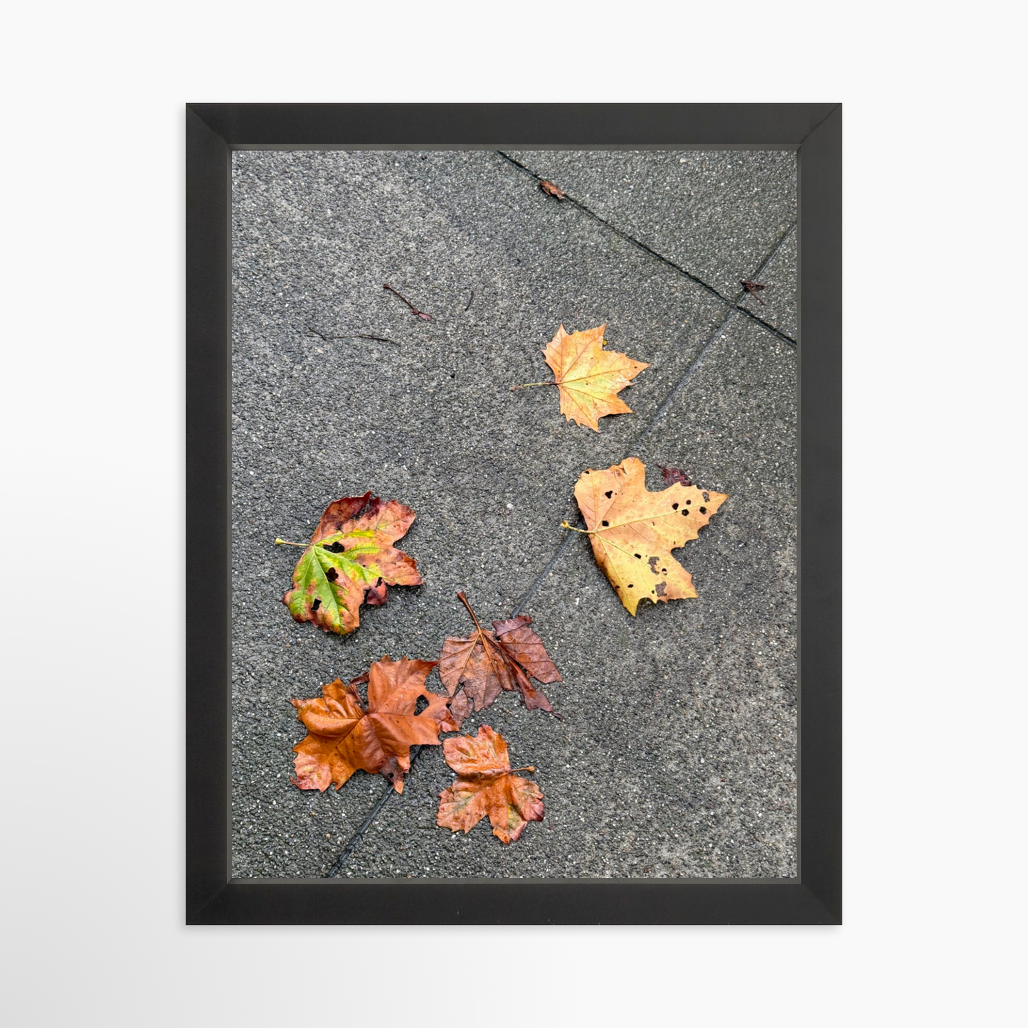 11" x 14" / Black / No Mat