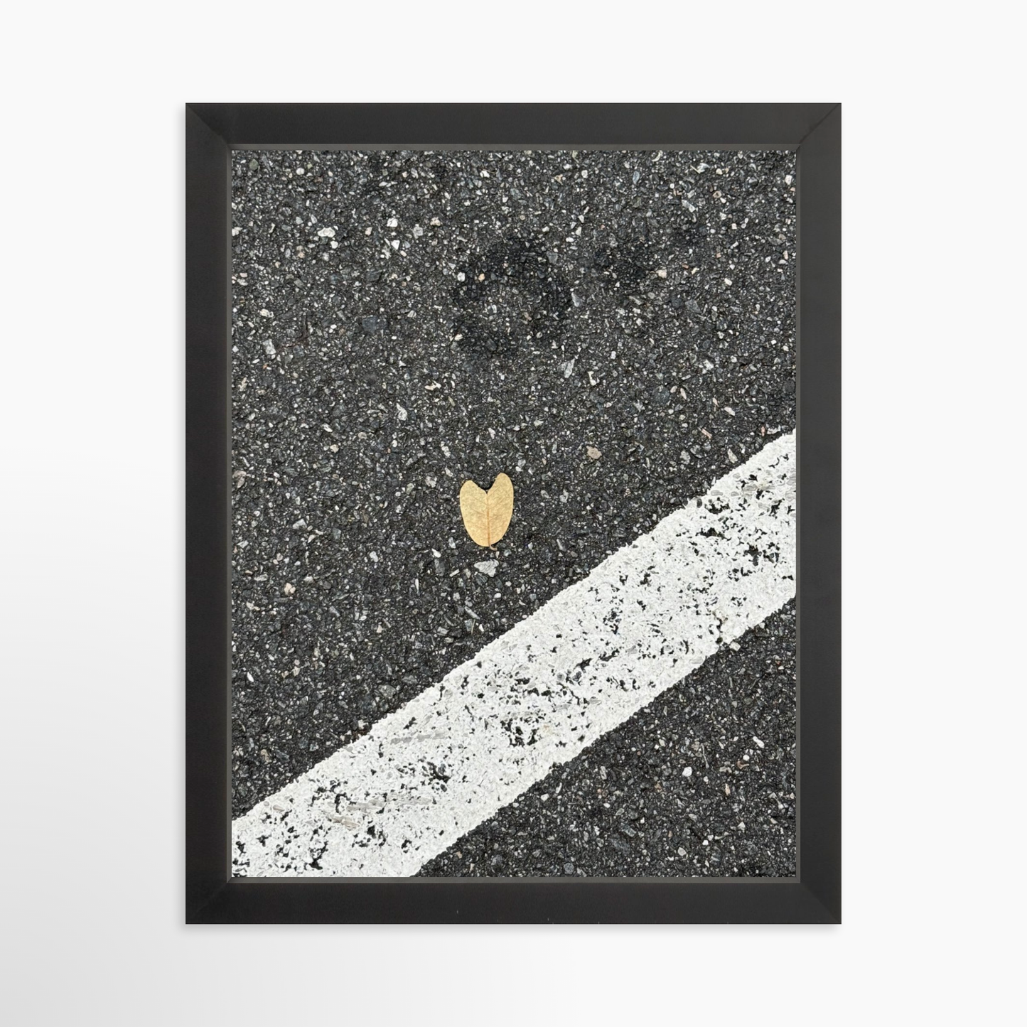 11" x 14" / Black / No Mat