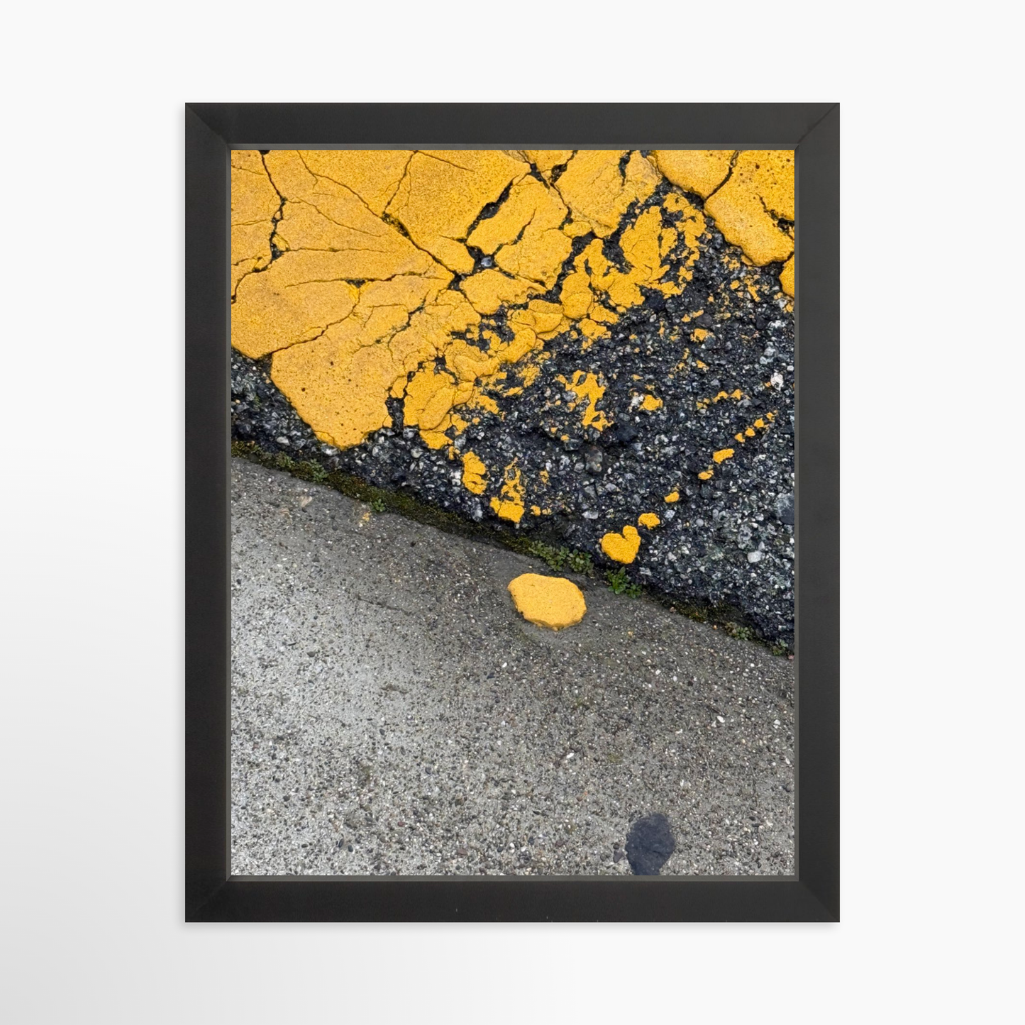 11" x 14" / Black / No Mat