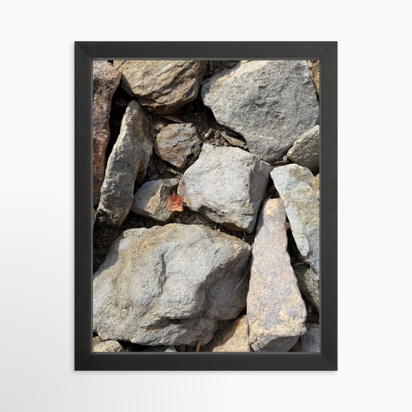 11" x 14" / Black / No Mat