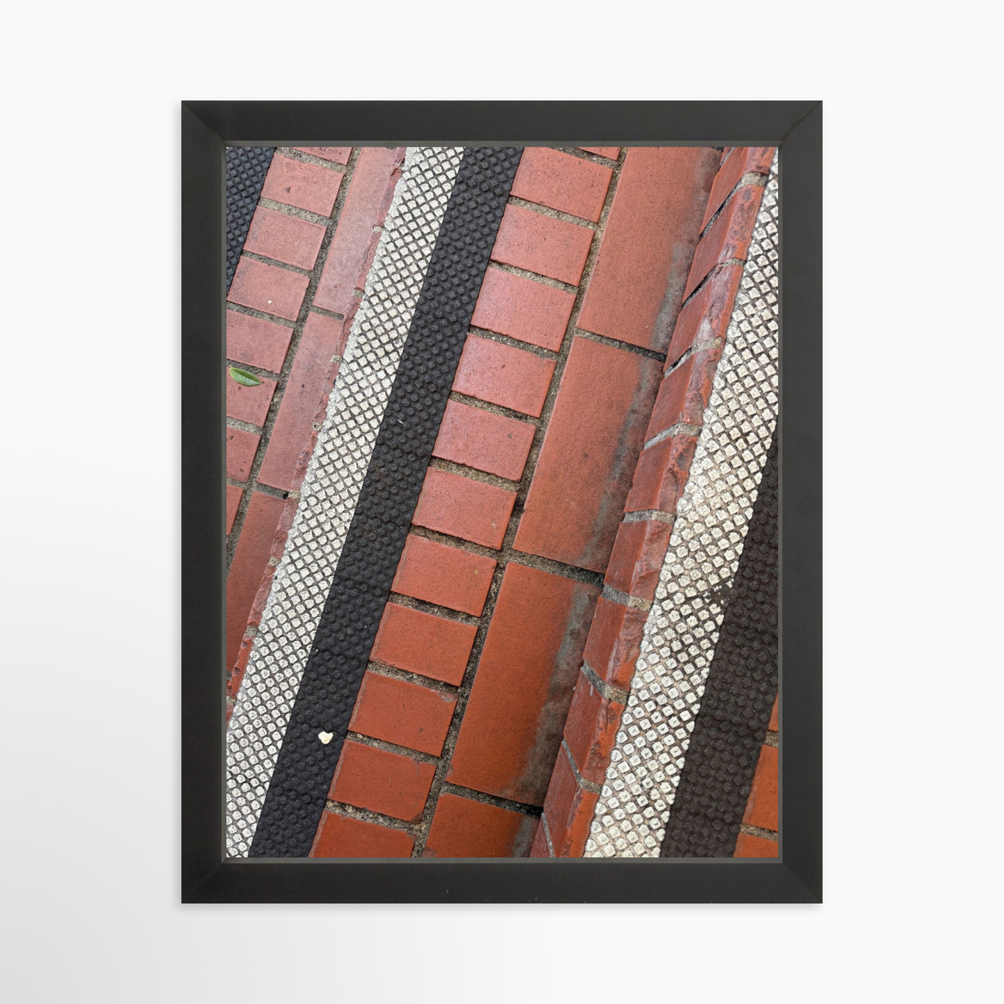 11" x 14" / Black / No Mat