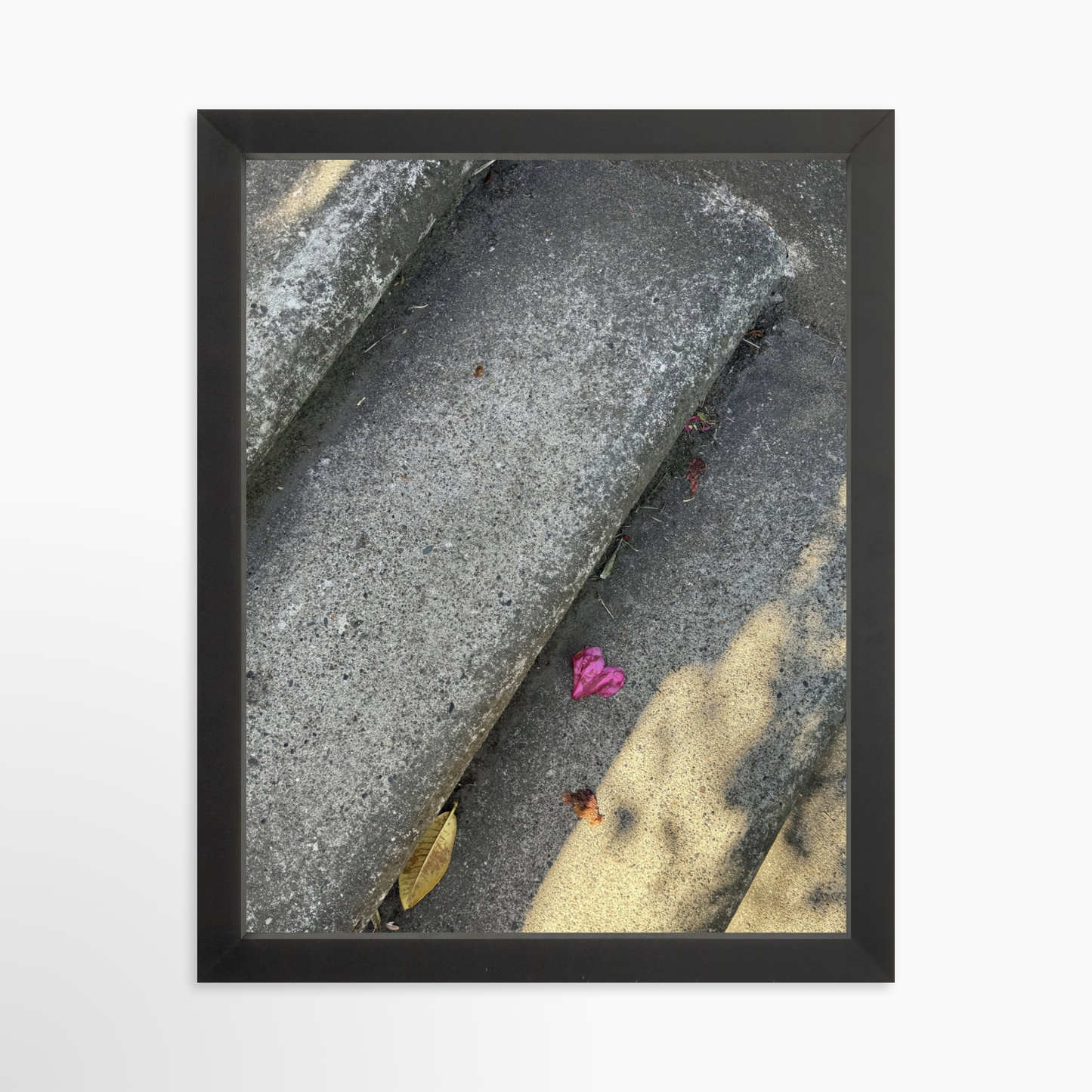 11" x 14" / Black / No Mat