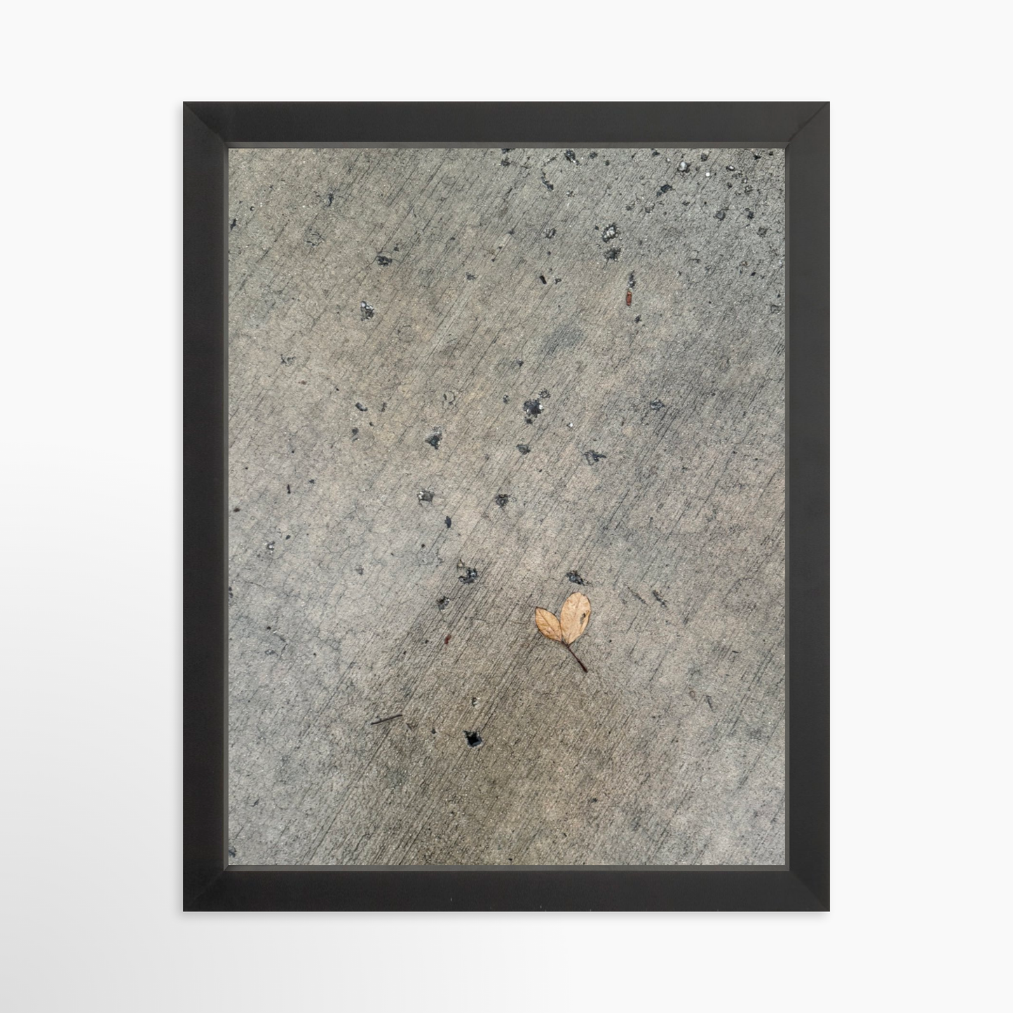 11" x 14" / Black / No Mat