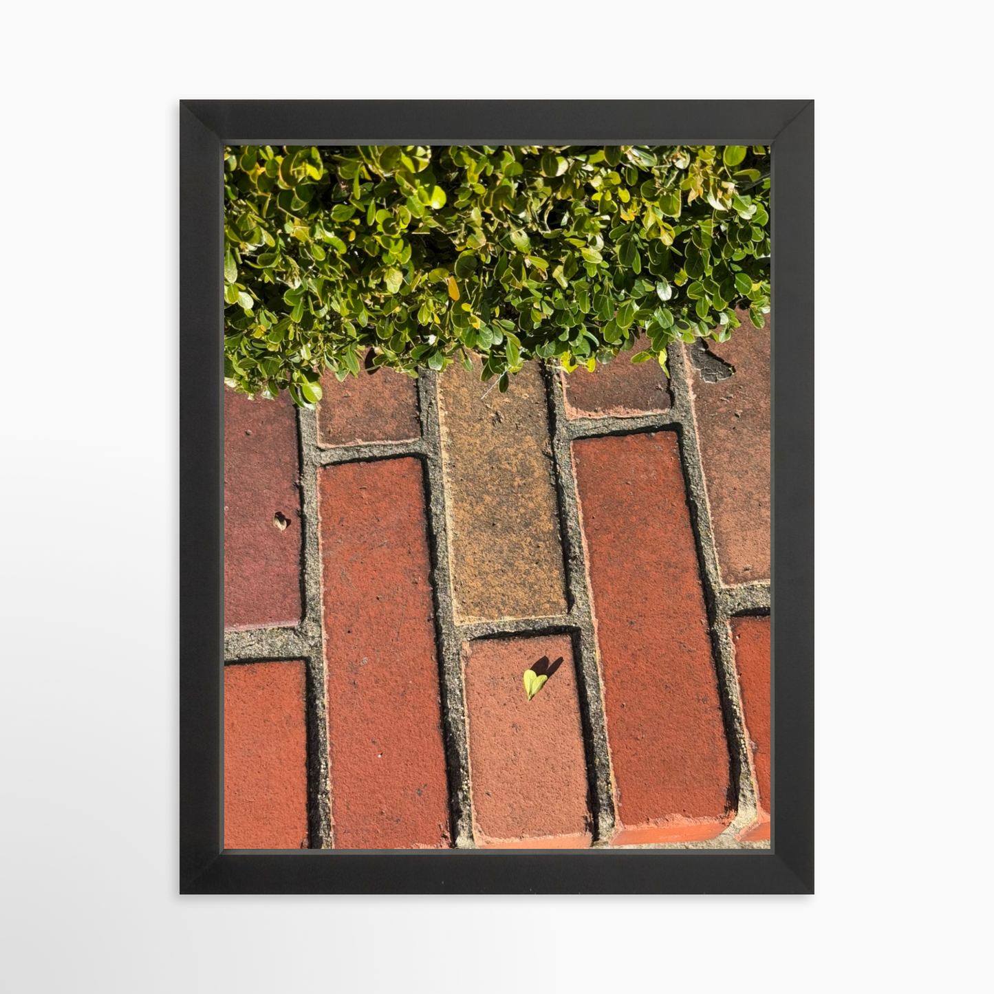 11" x 14" / Black / No Mat