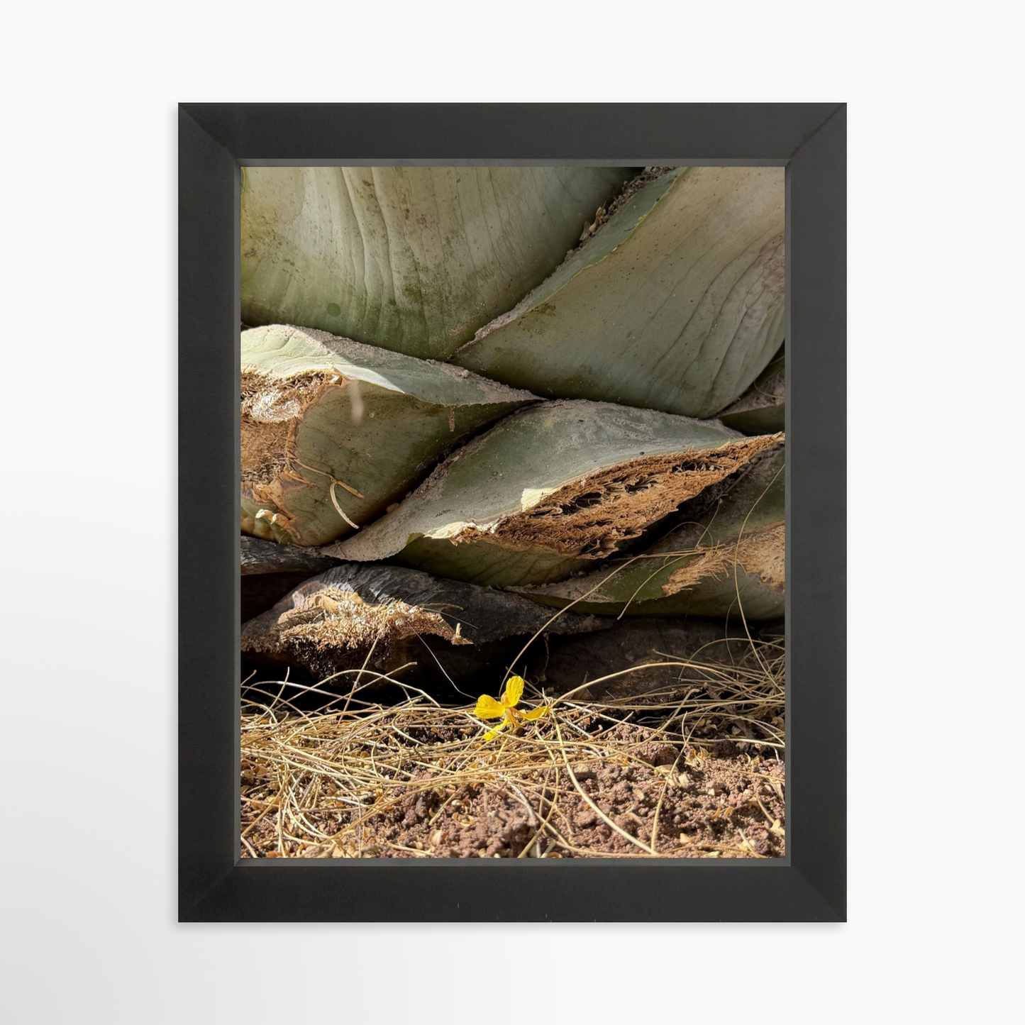 8" x  10" / Black / No Mat