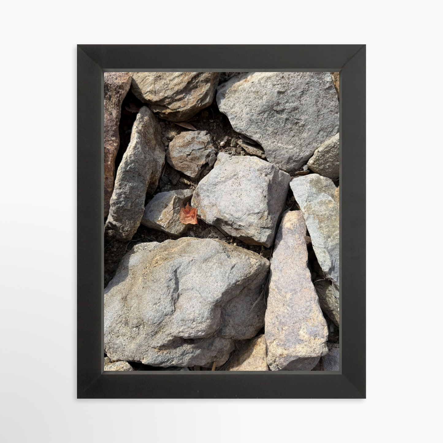 8" x  10" / Black / No Mat