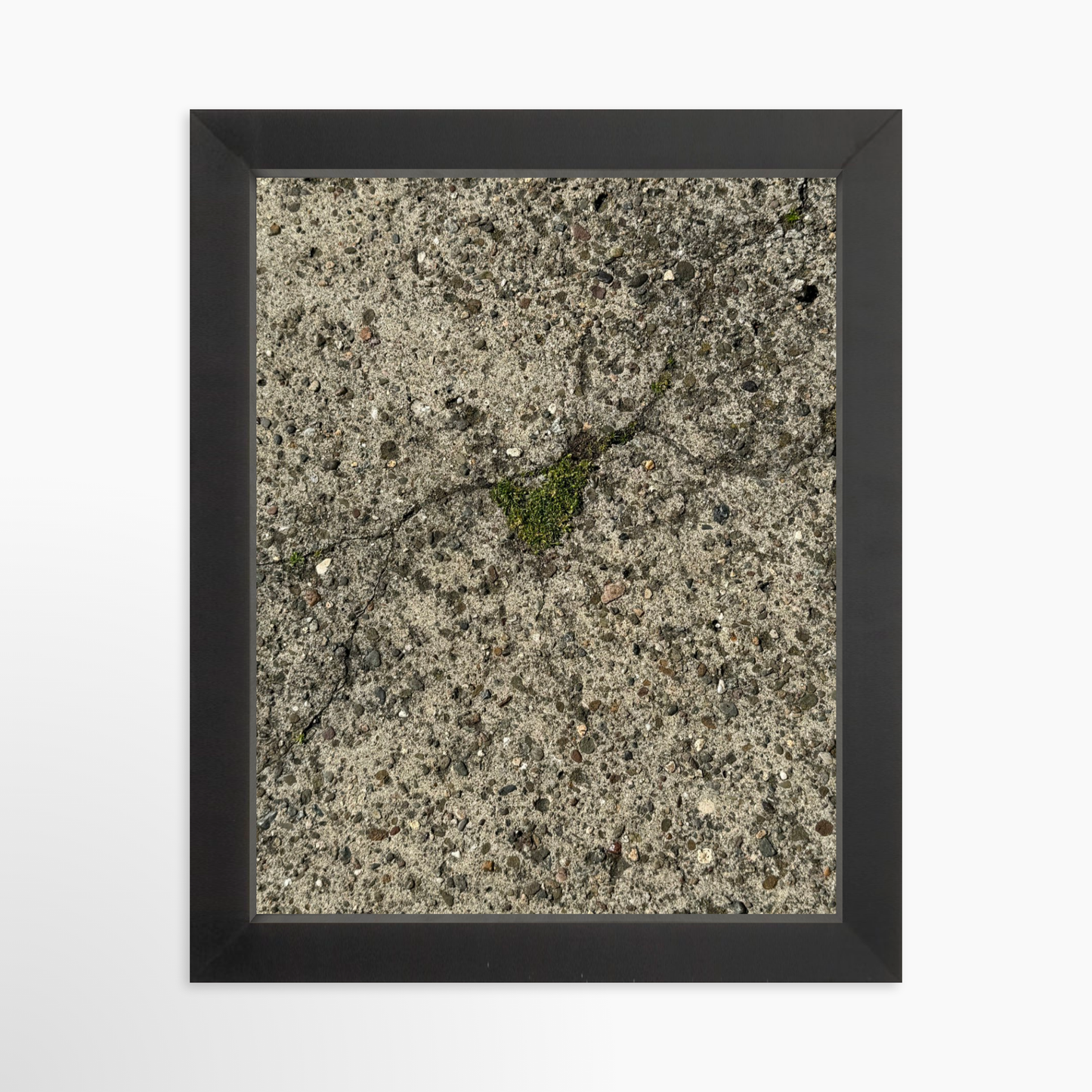 8" x  10" / Black / No Mat