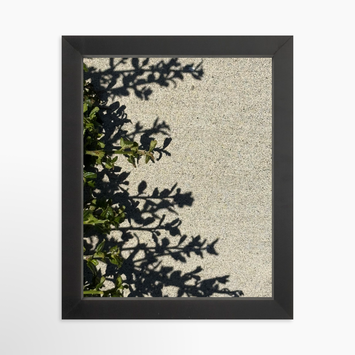 8" x  10" / Black / No Mat