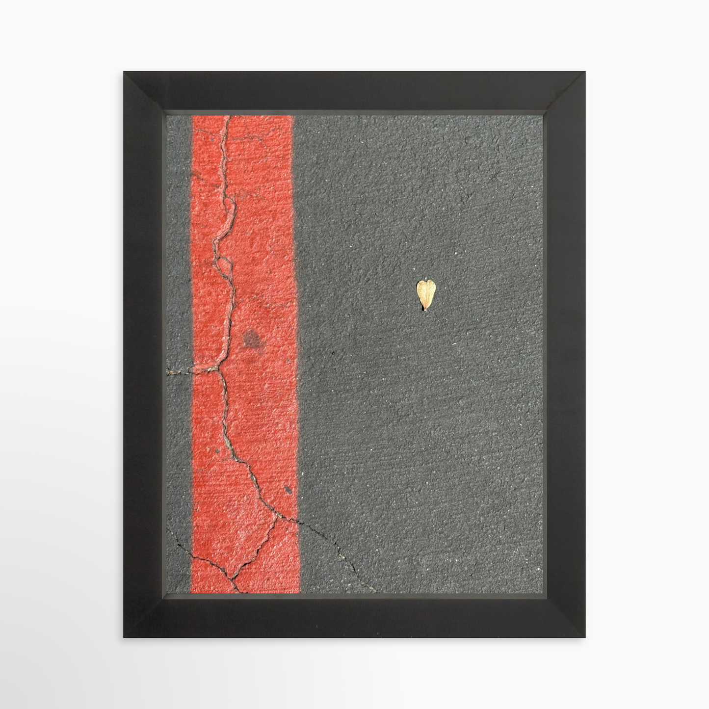 8" x  10" / Black / No Mat
