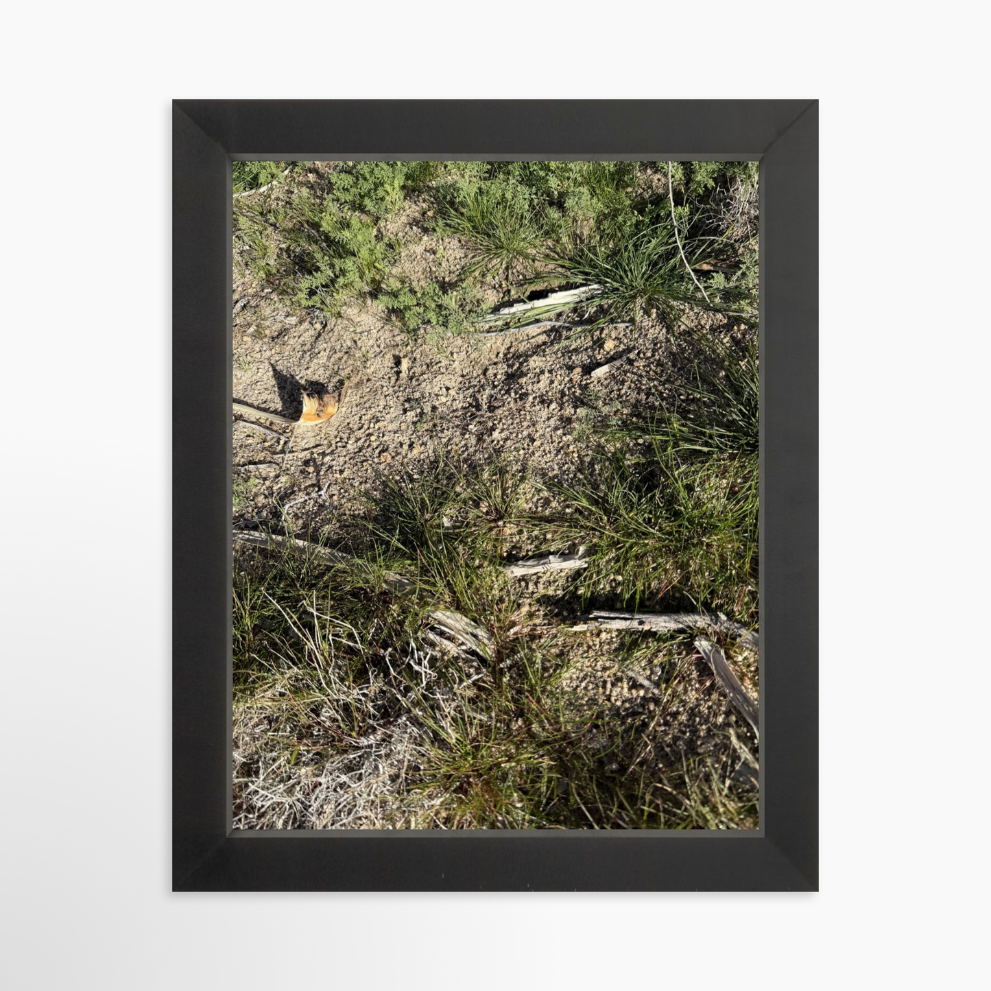 8" x  10" / Black / No Mat