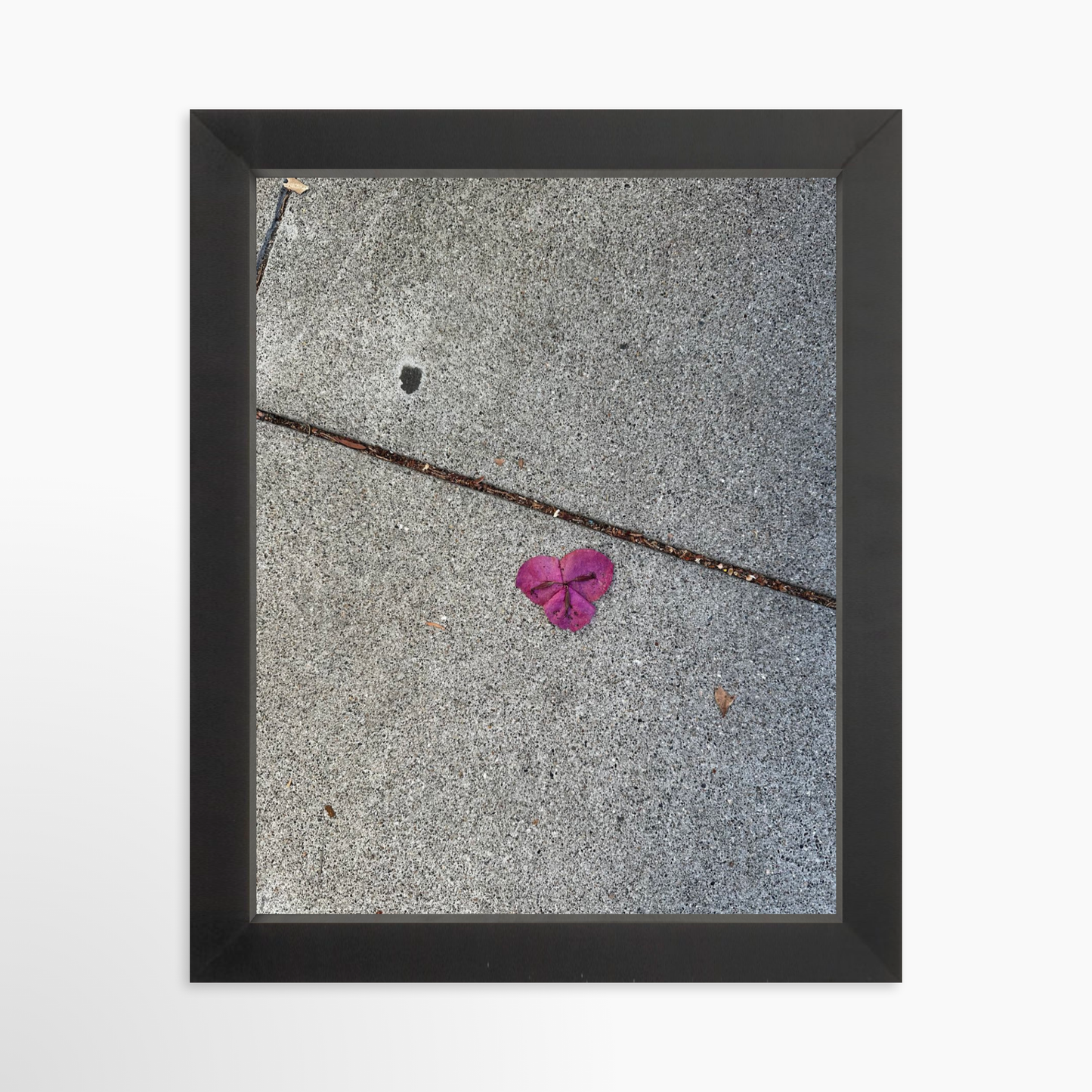 8" x  10" / Black / No Mat