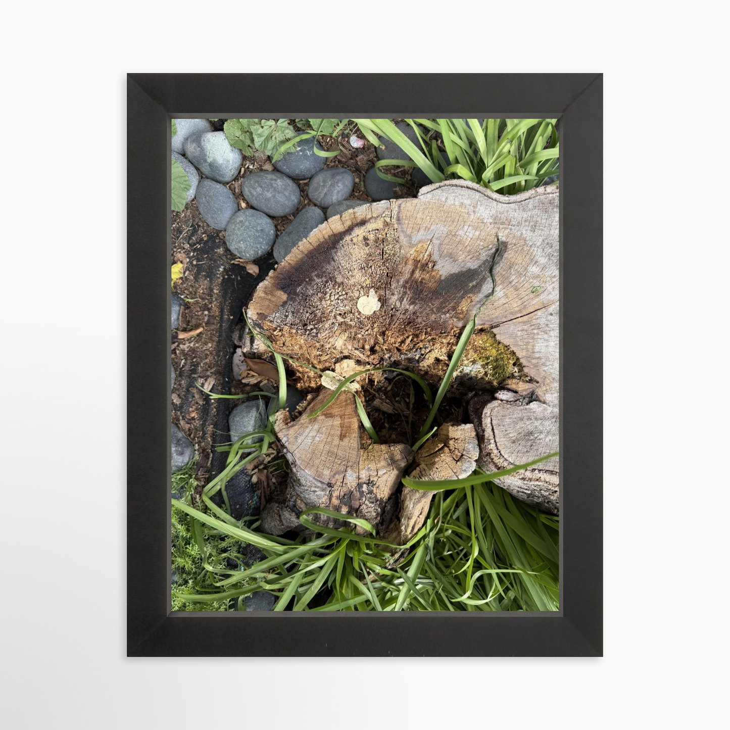 8" x  10" / Black / No Mat
